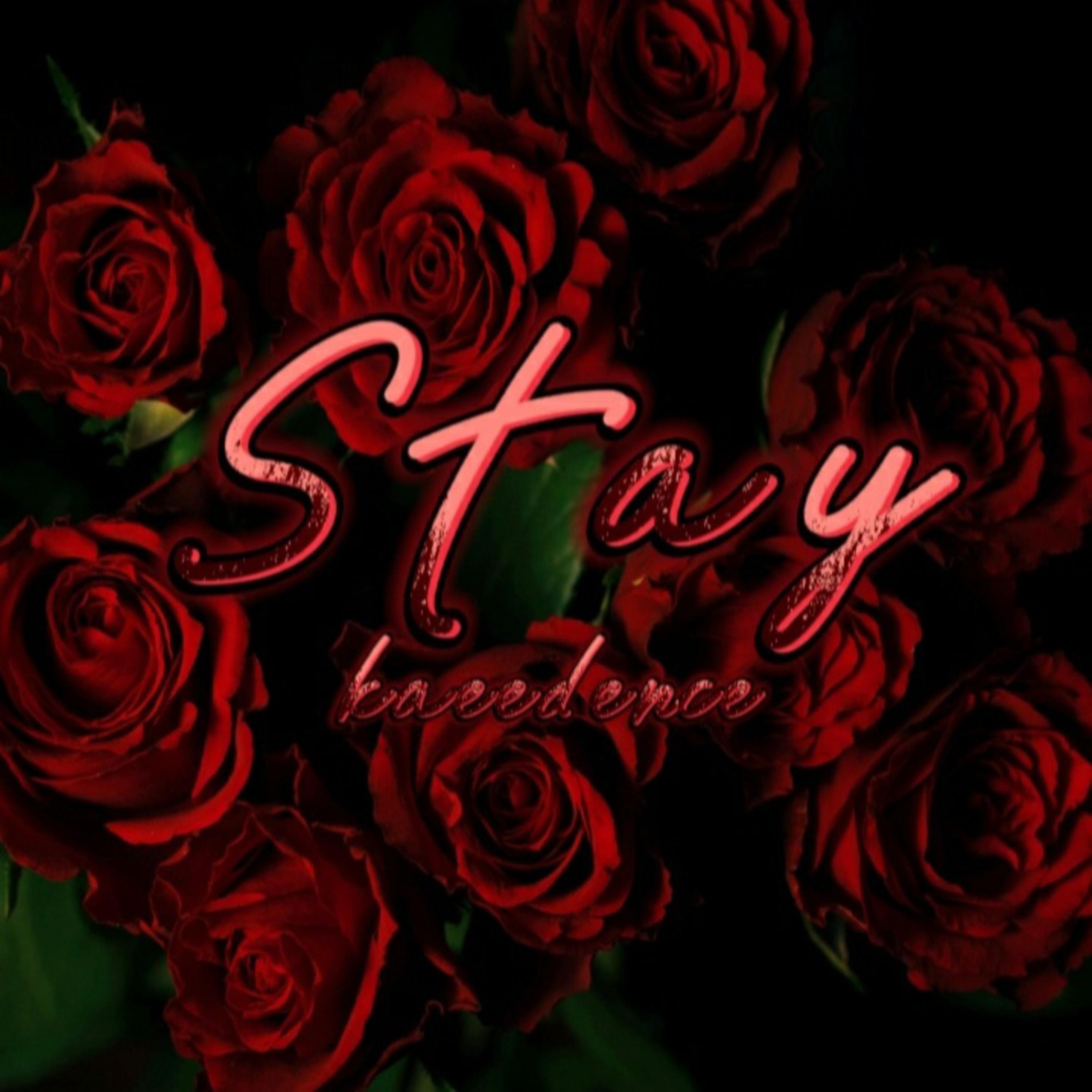 Stay artwork