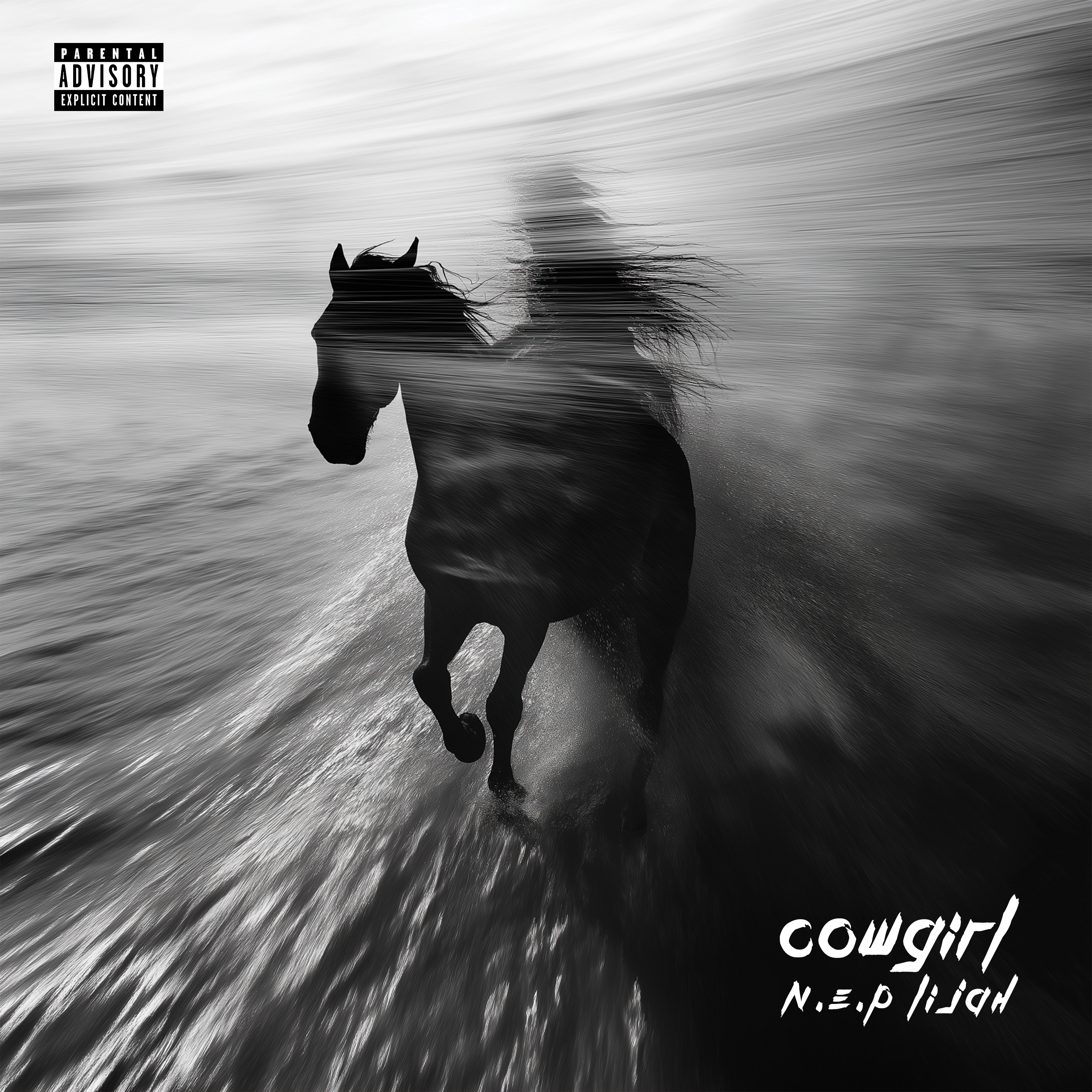 Cowgirl artwork