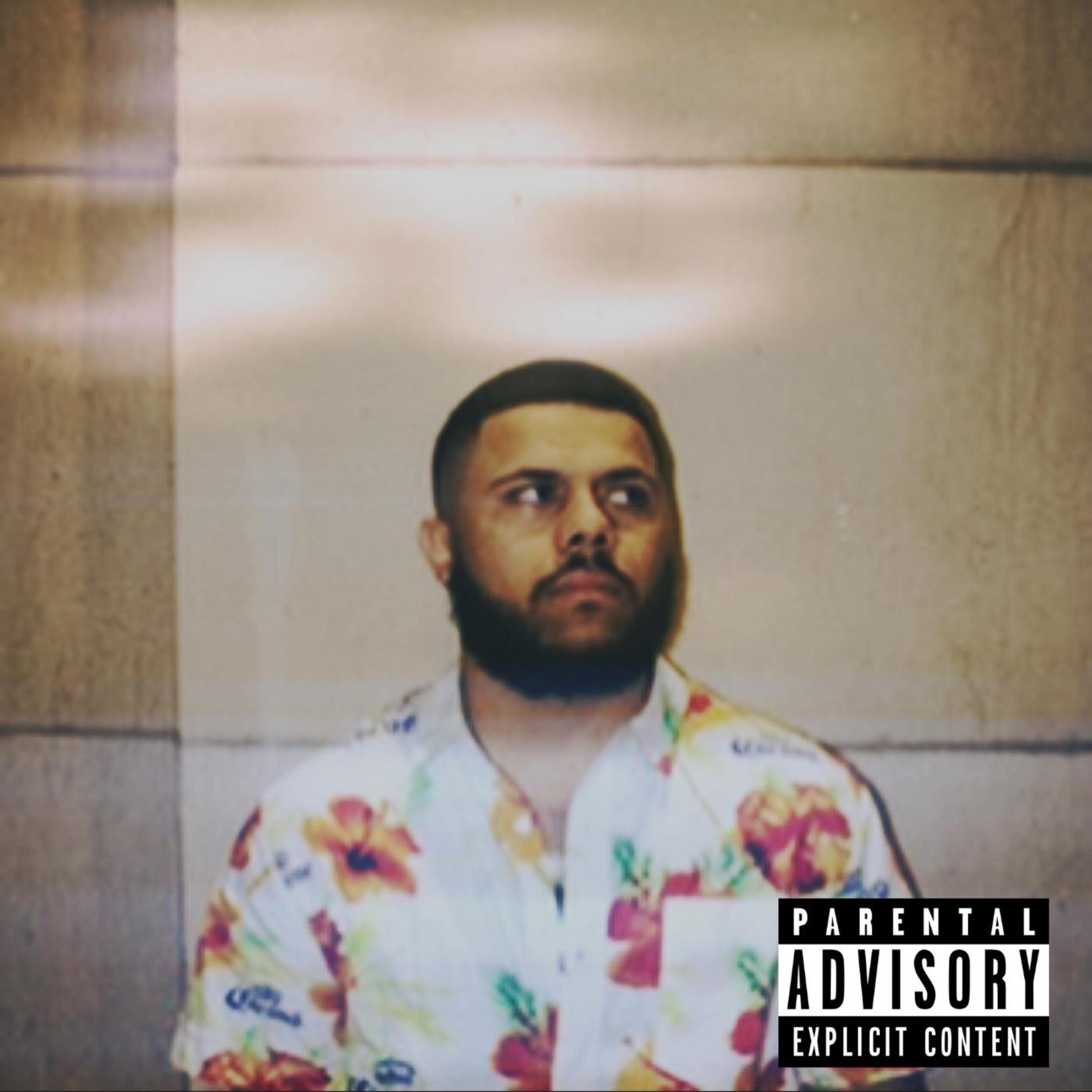Mixed Vibes artwork