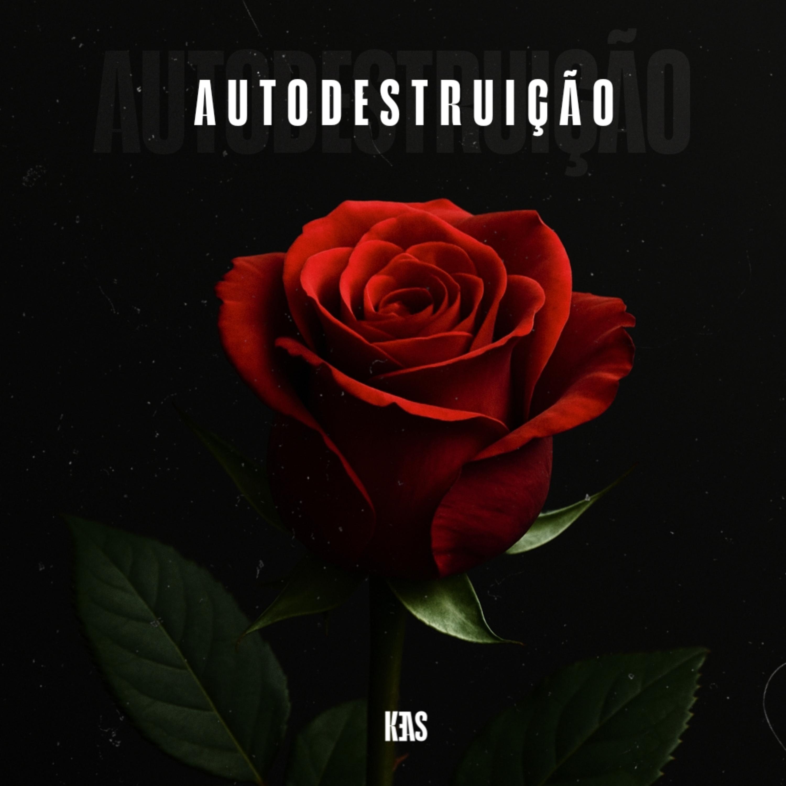 AUTODESTRUIÇÃO artwork