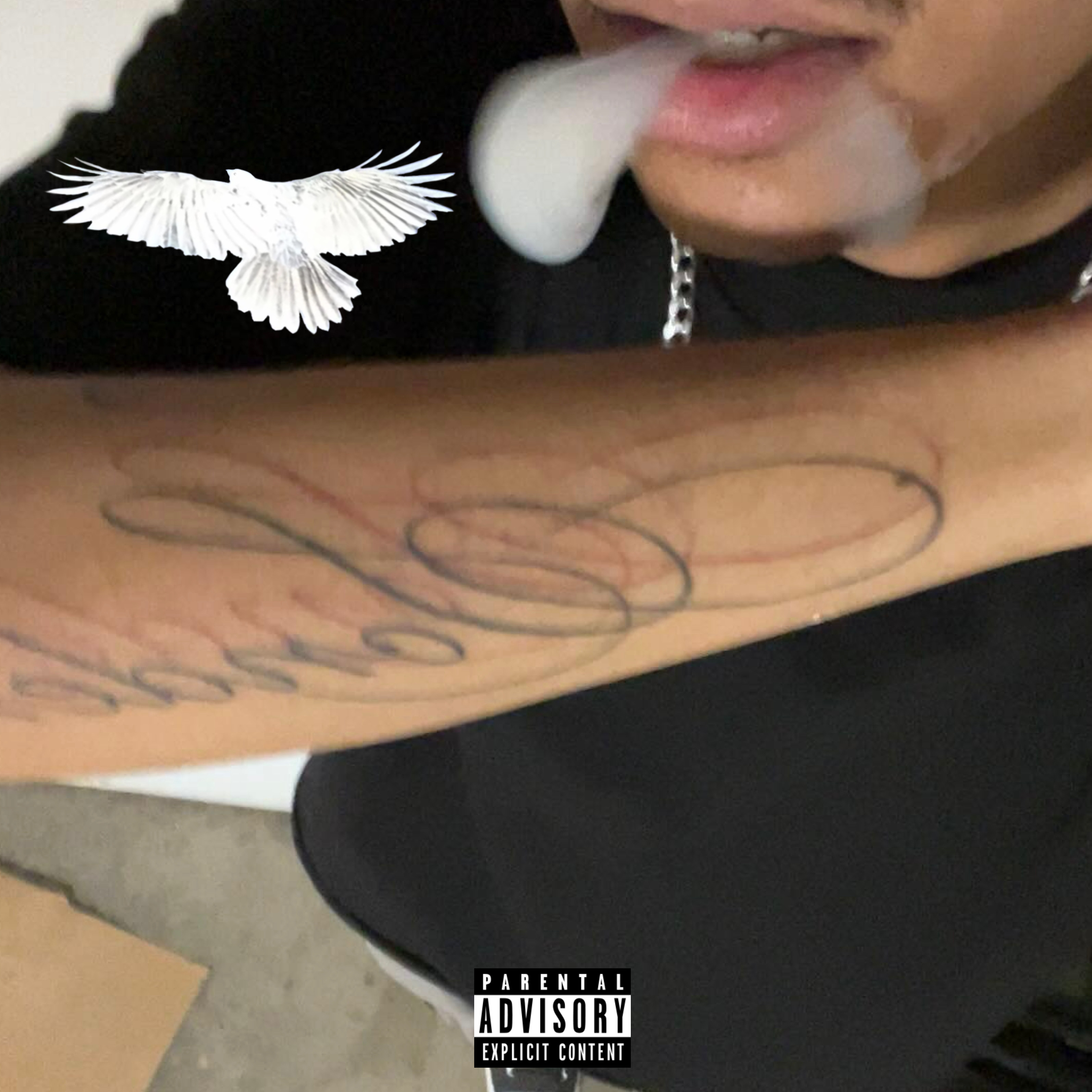 flyguy by isolace cover art