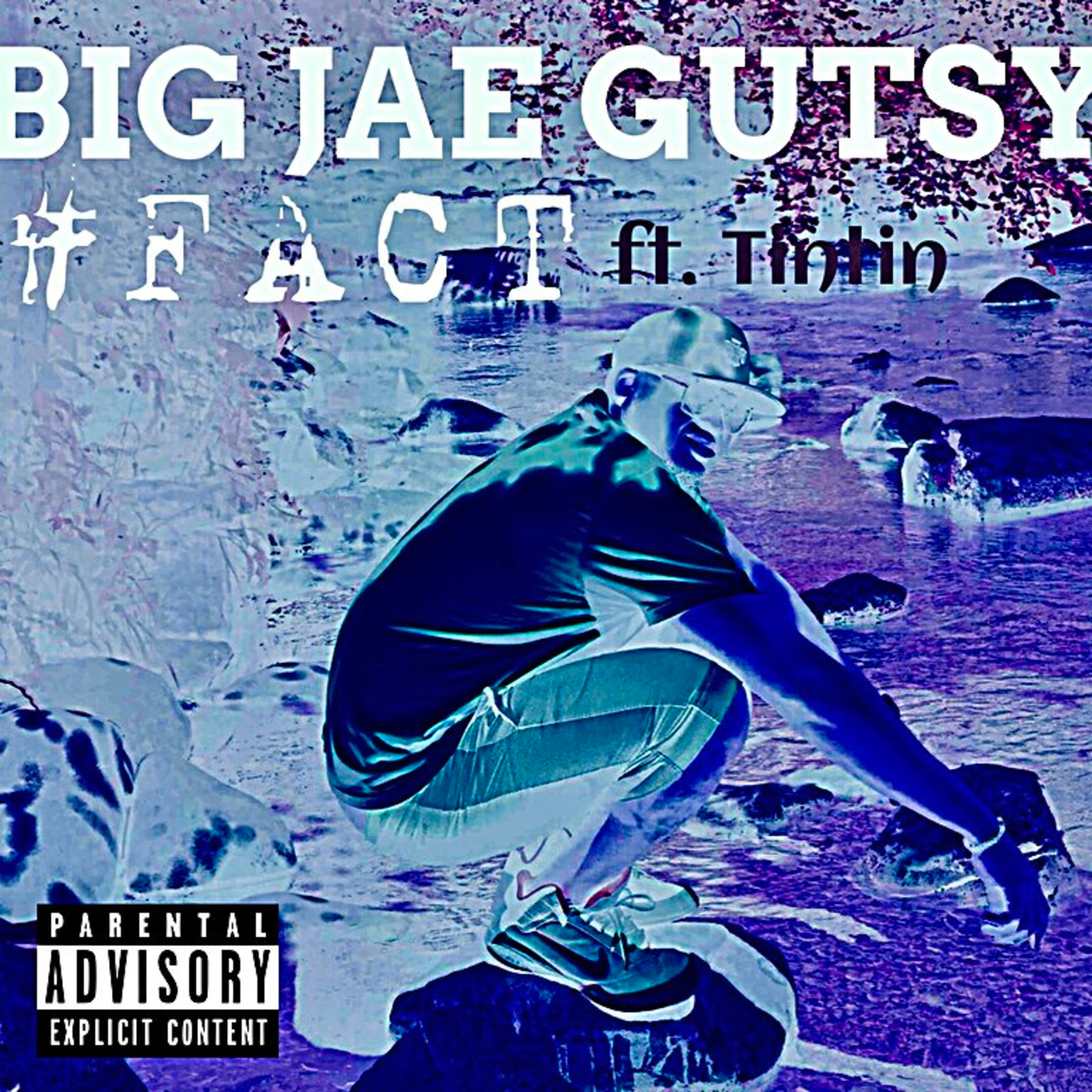 Fact artwork