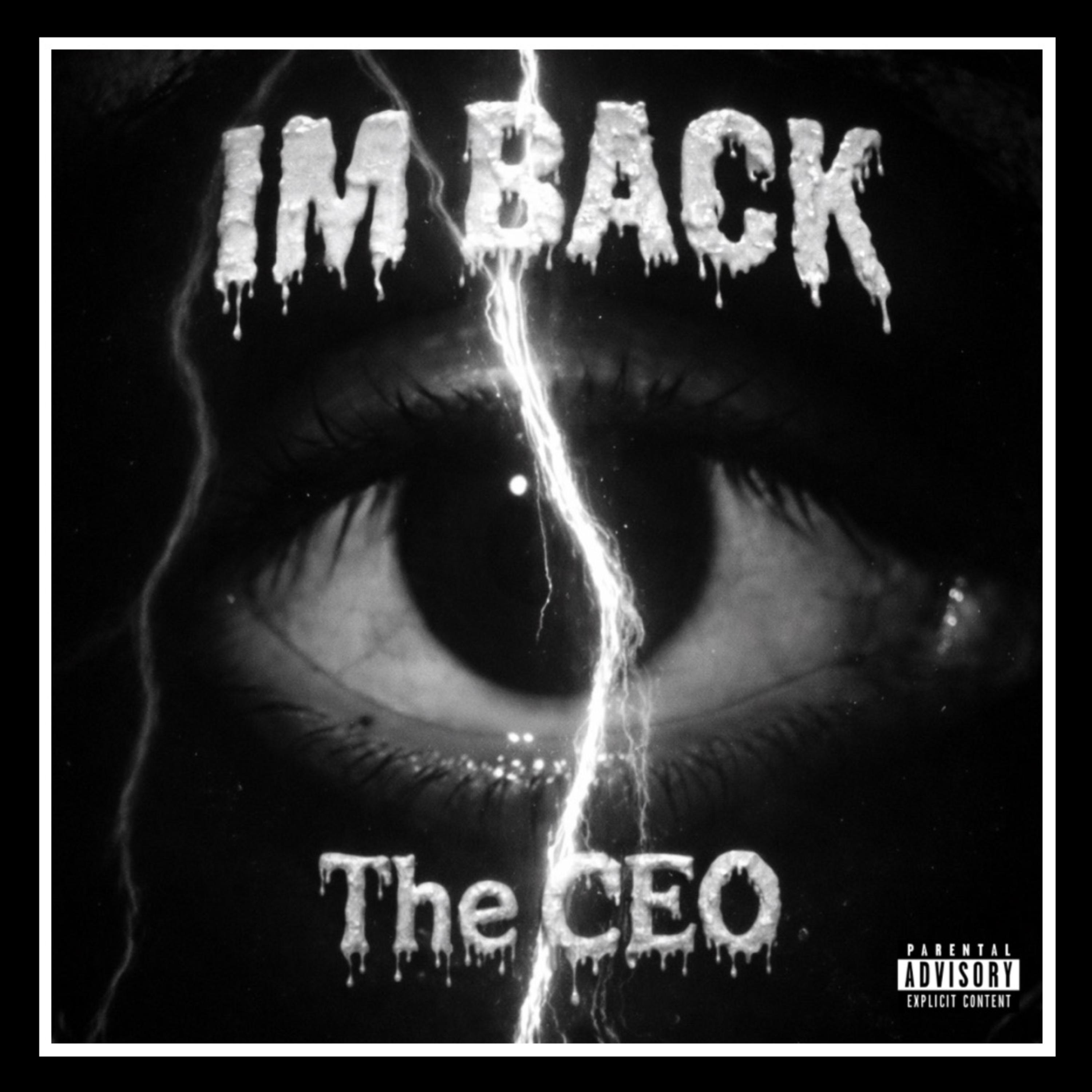 I’M BACK! artwork