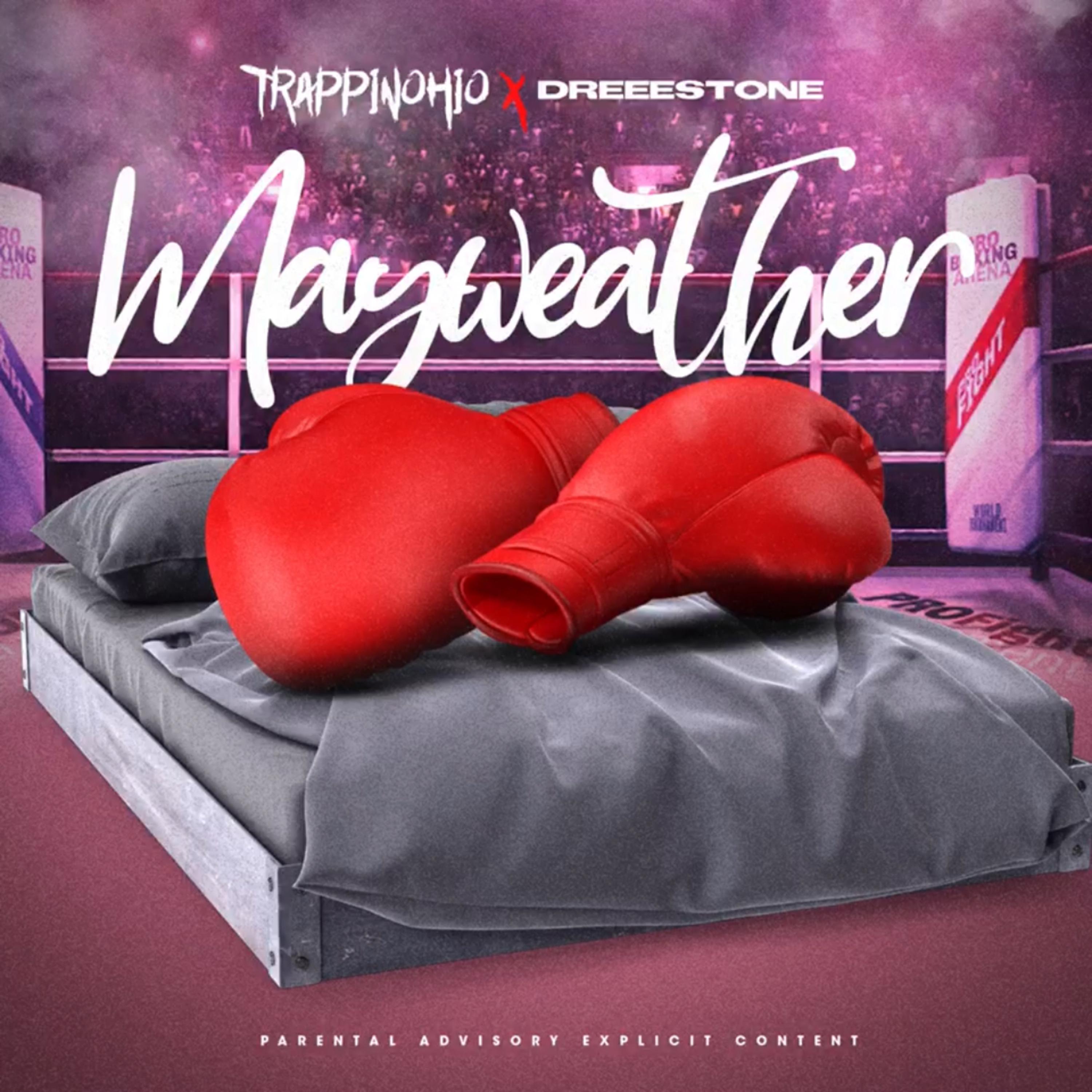 Mayweather artwork