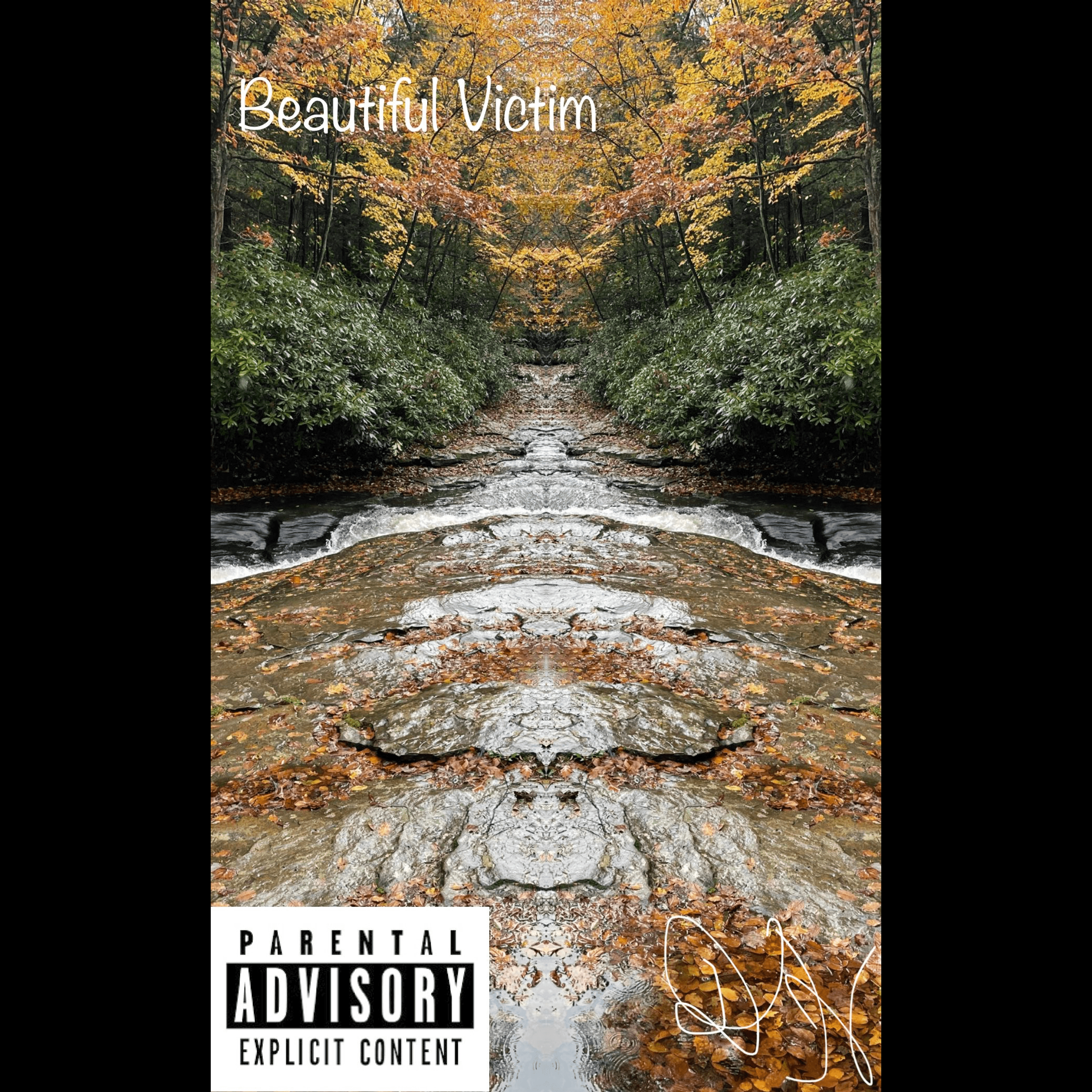 Beautiful Victim artwork