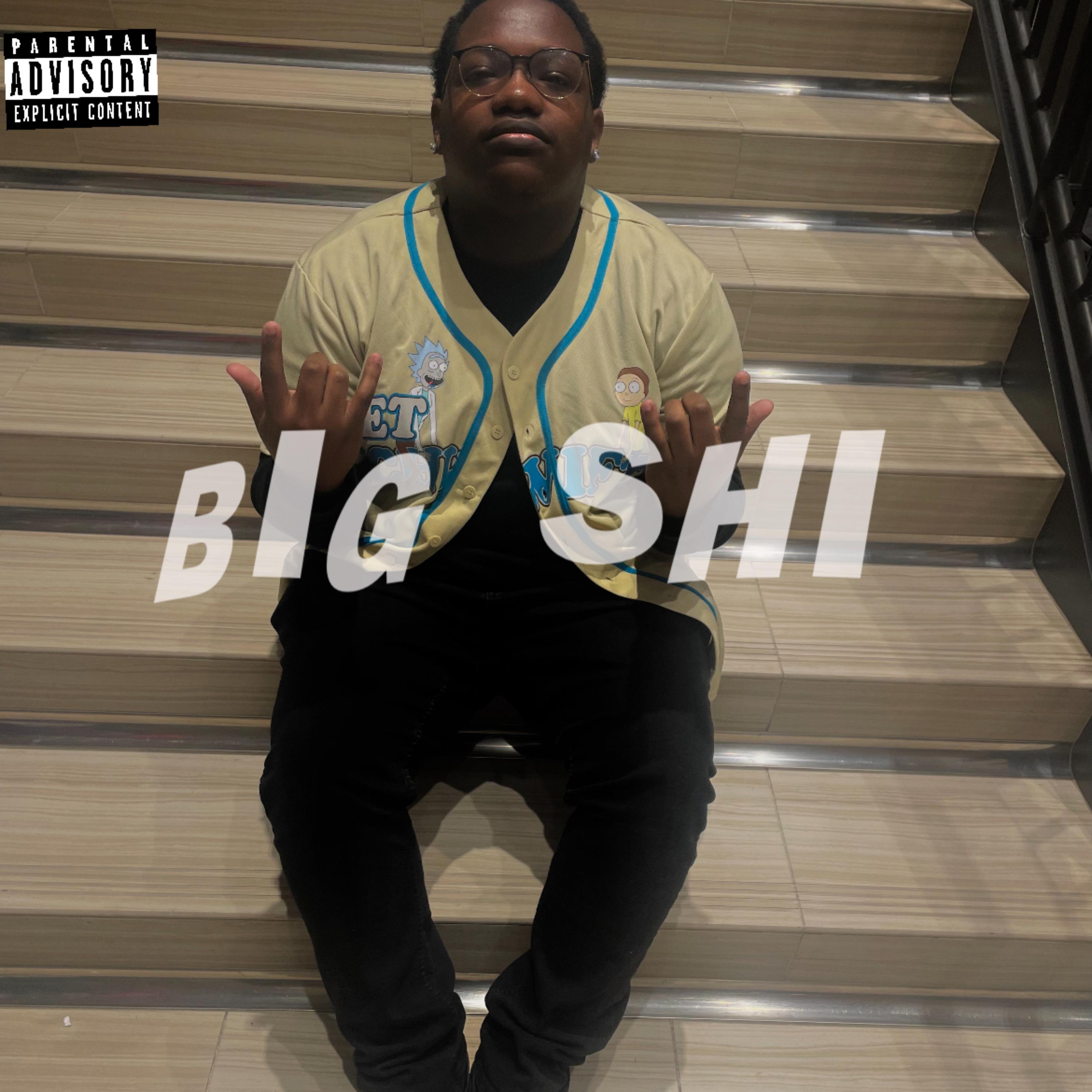 BIG SHI artwork