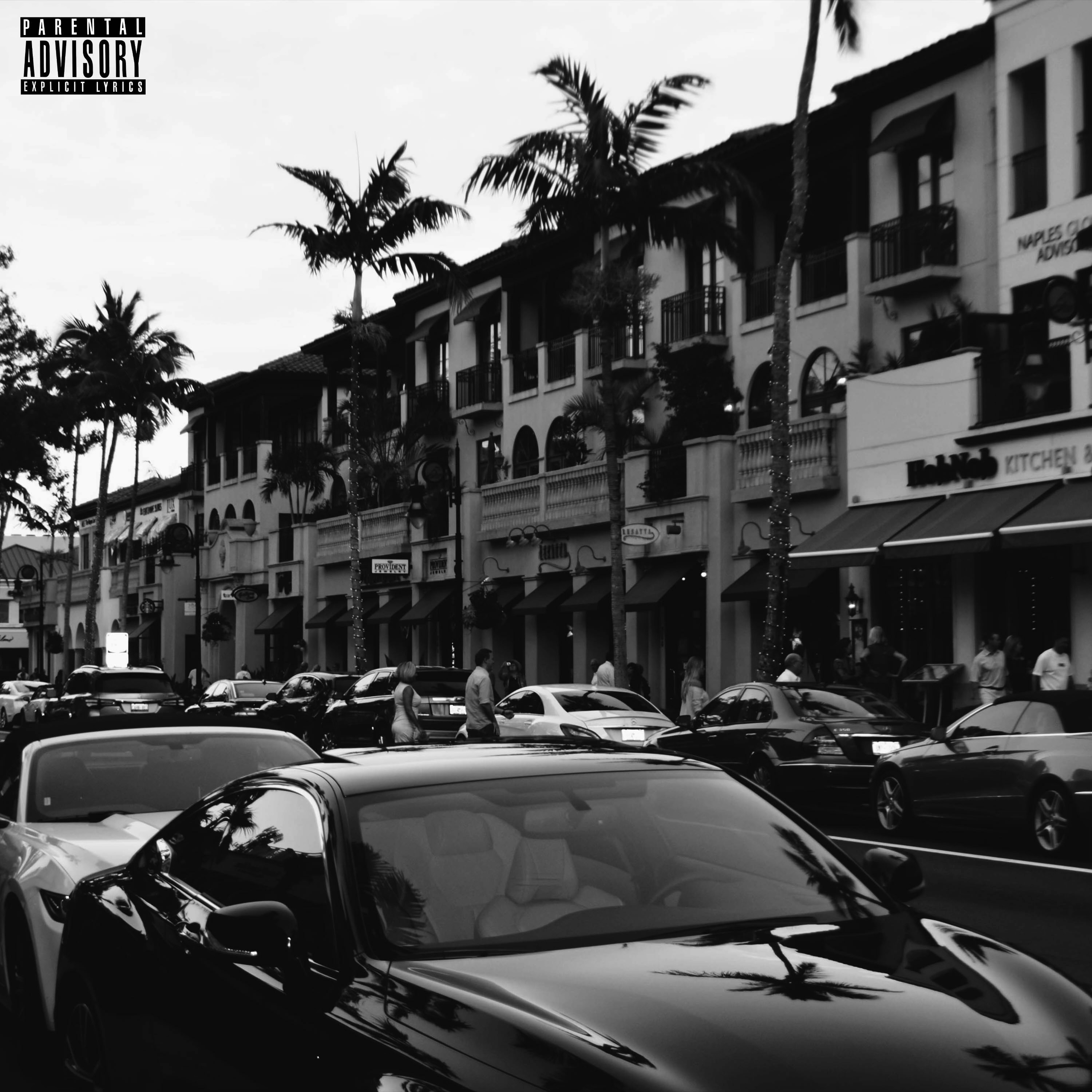 What Did I Tell You? artwork