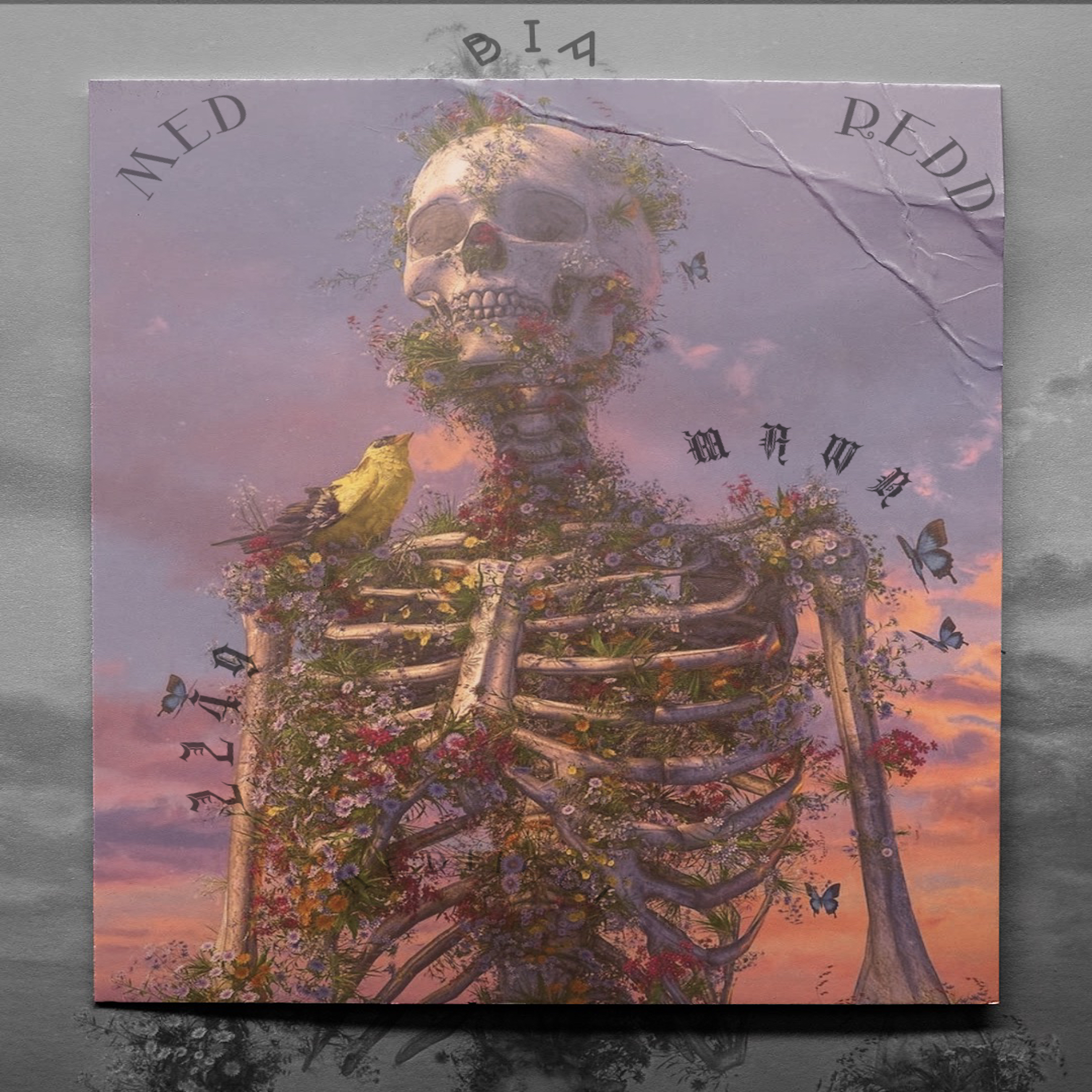 MEDS WITH MED artwork