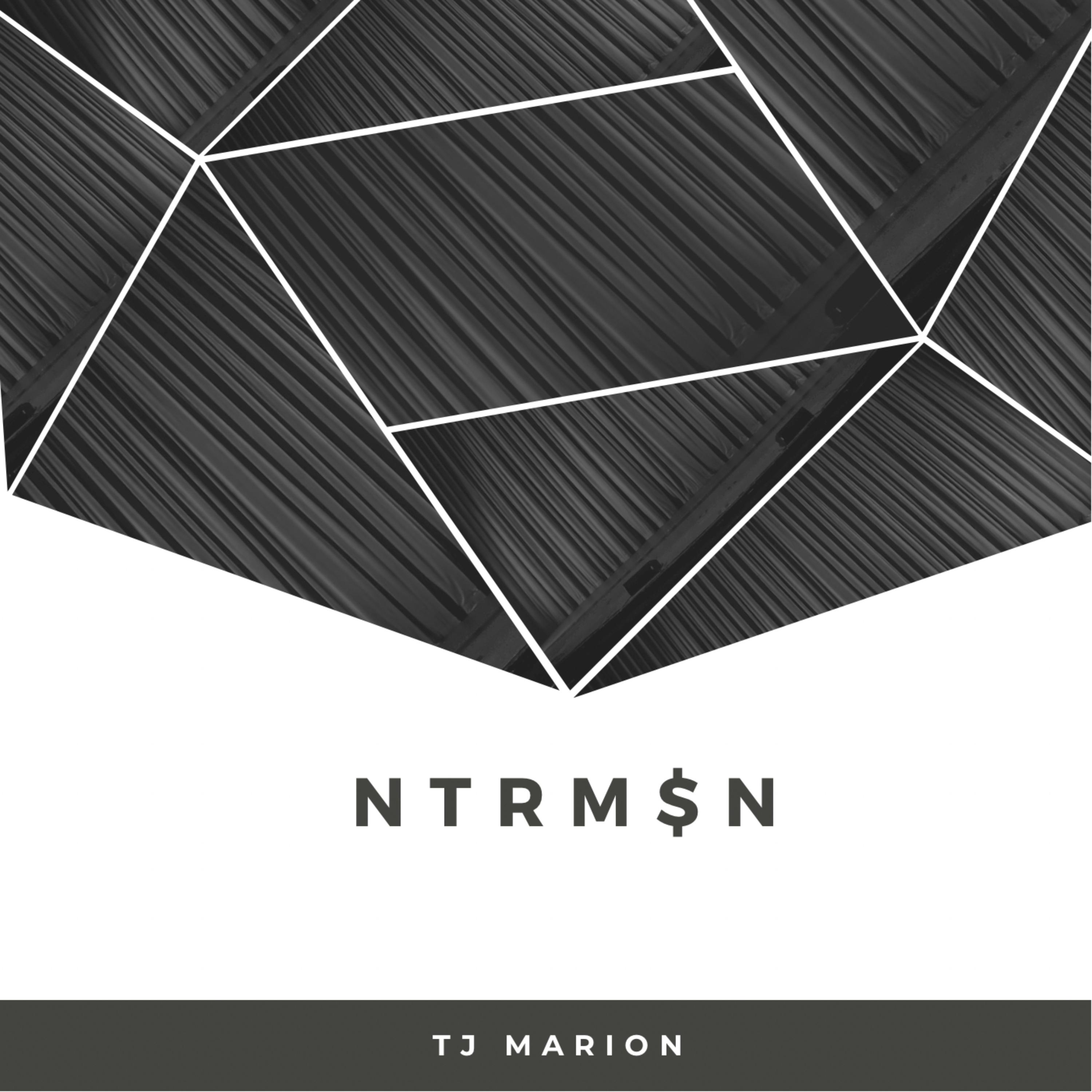 NTRM$N artwork