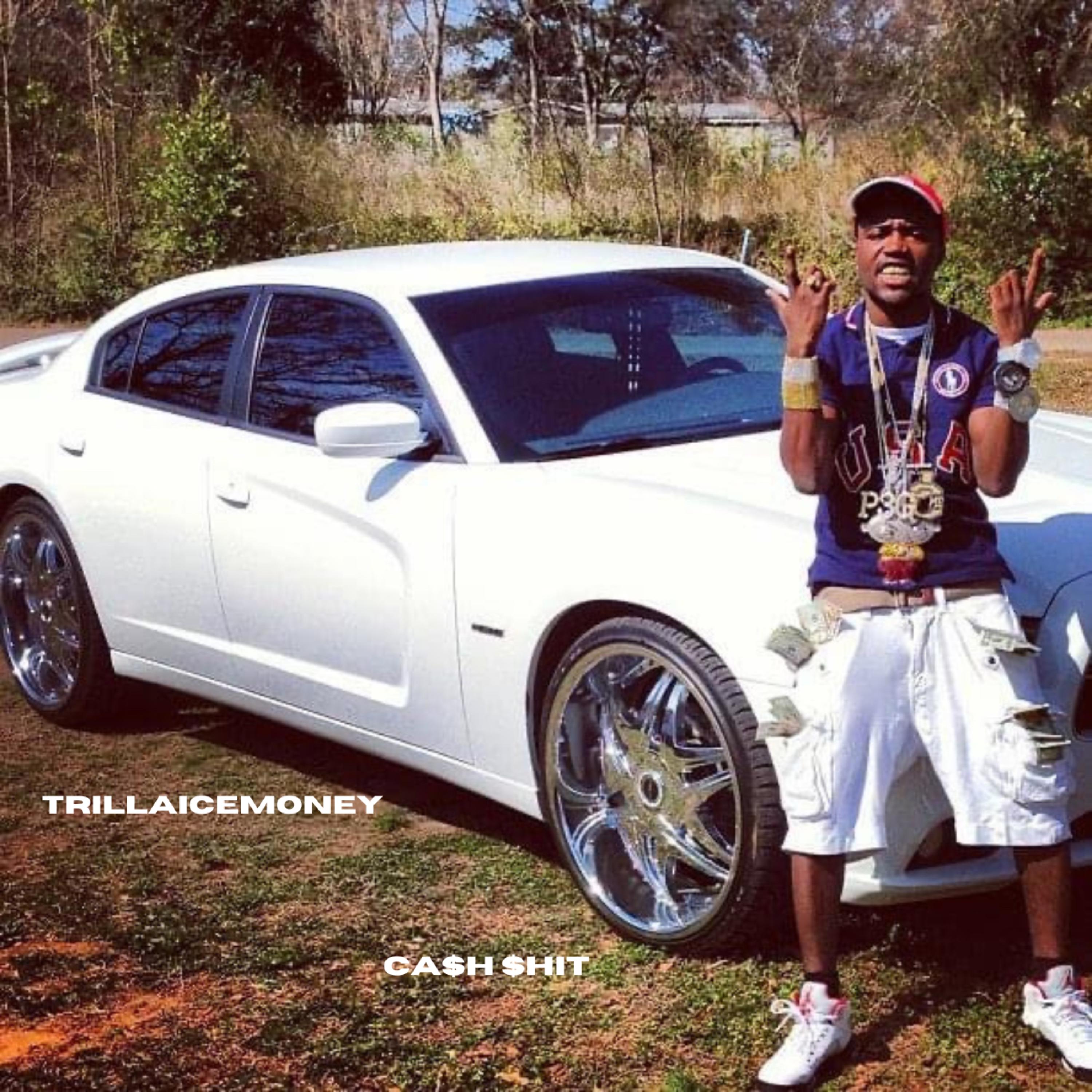 Ca$h $hit artwork