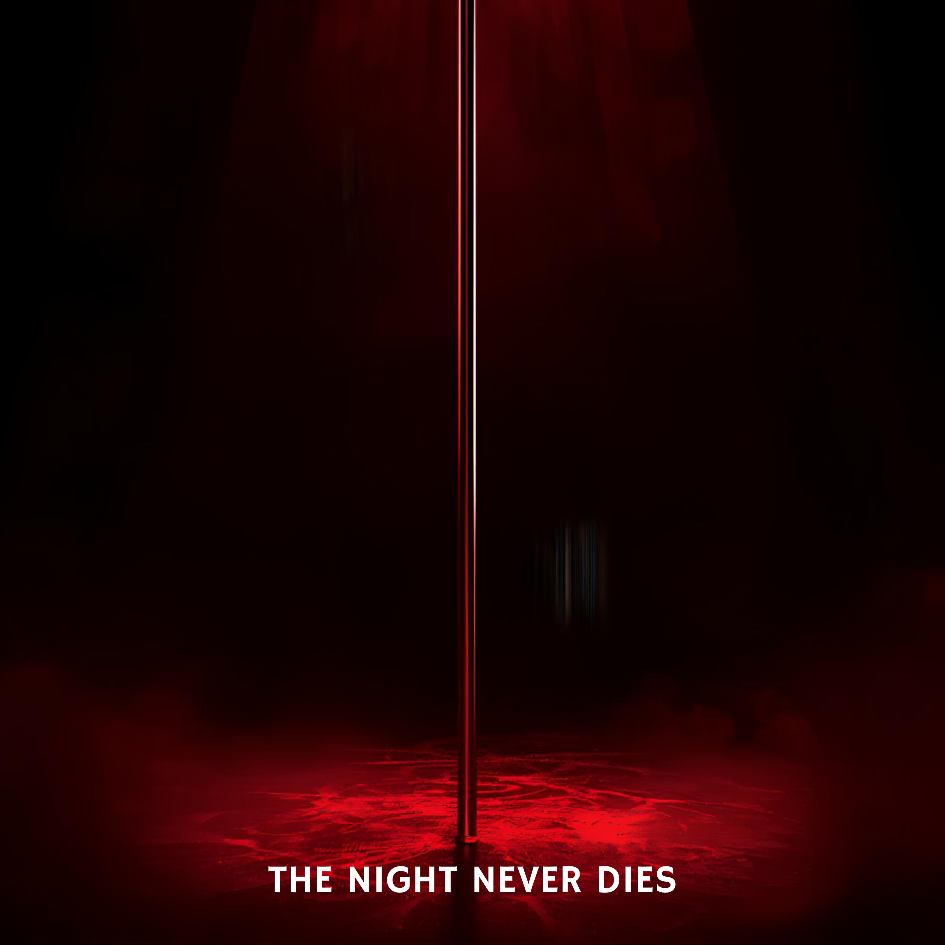 THE NIGHT NEVER DIES artwork