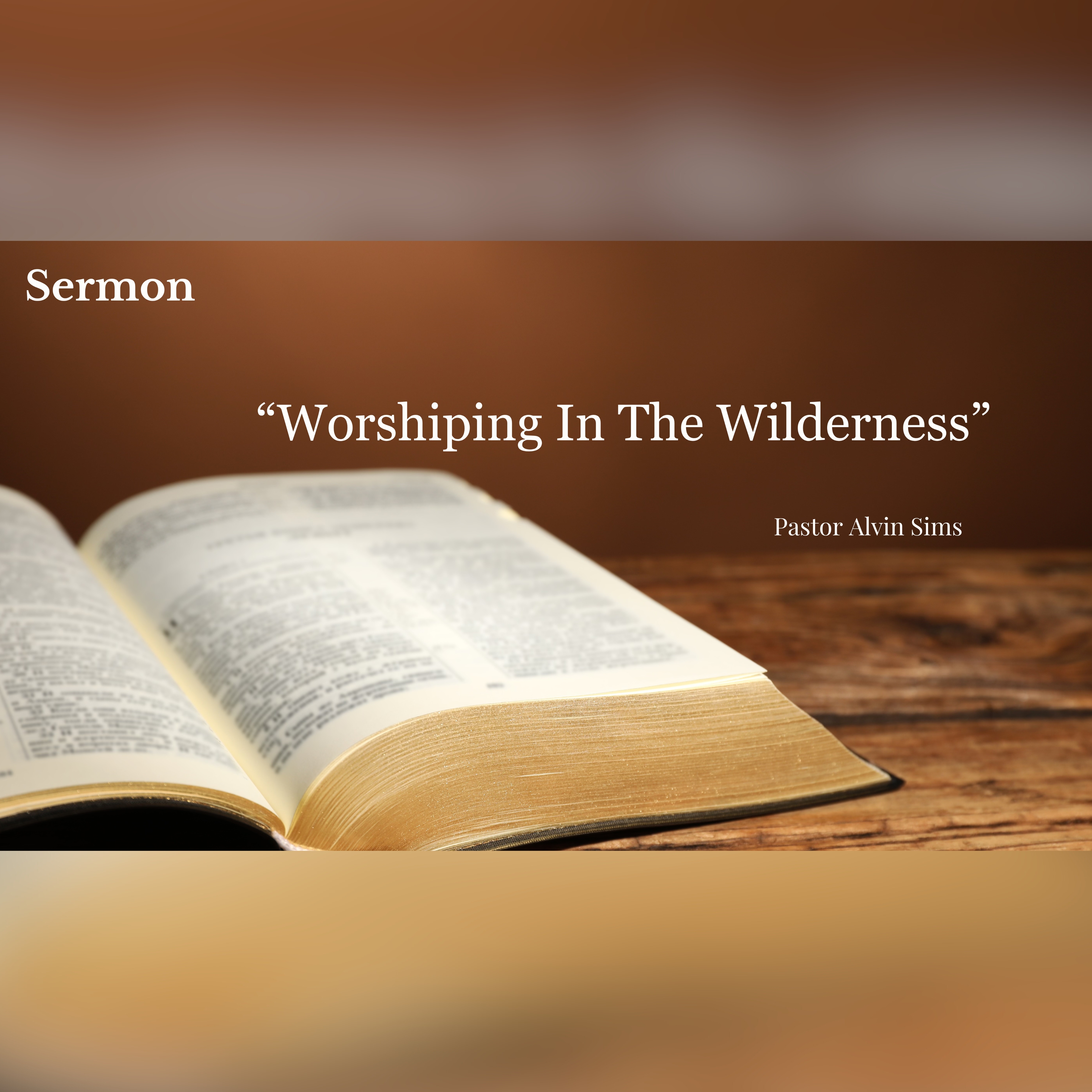 Worshiping In The Wilderness artwork