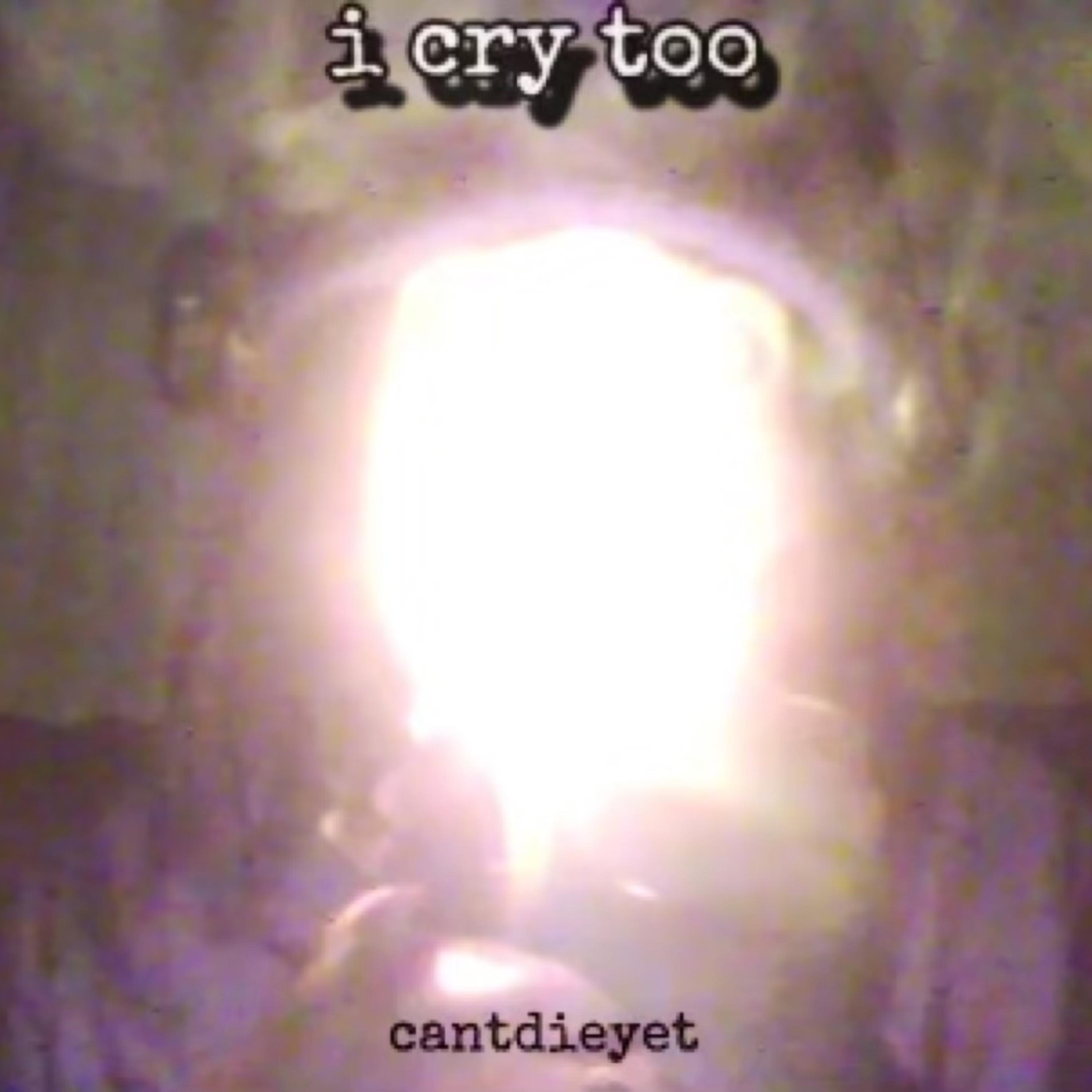 I cry too artwork