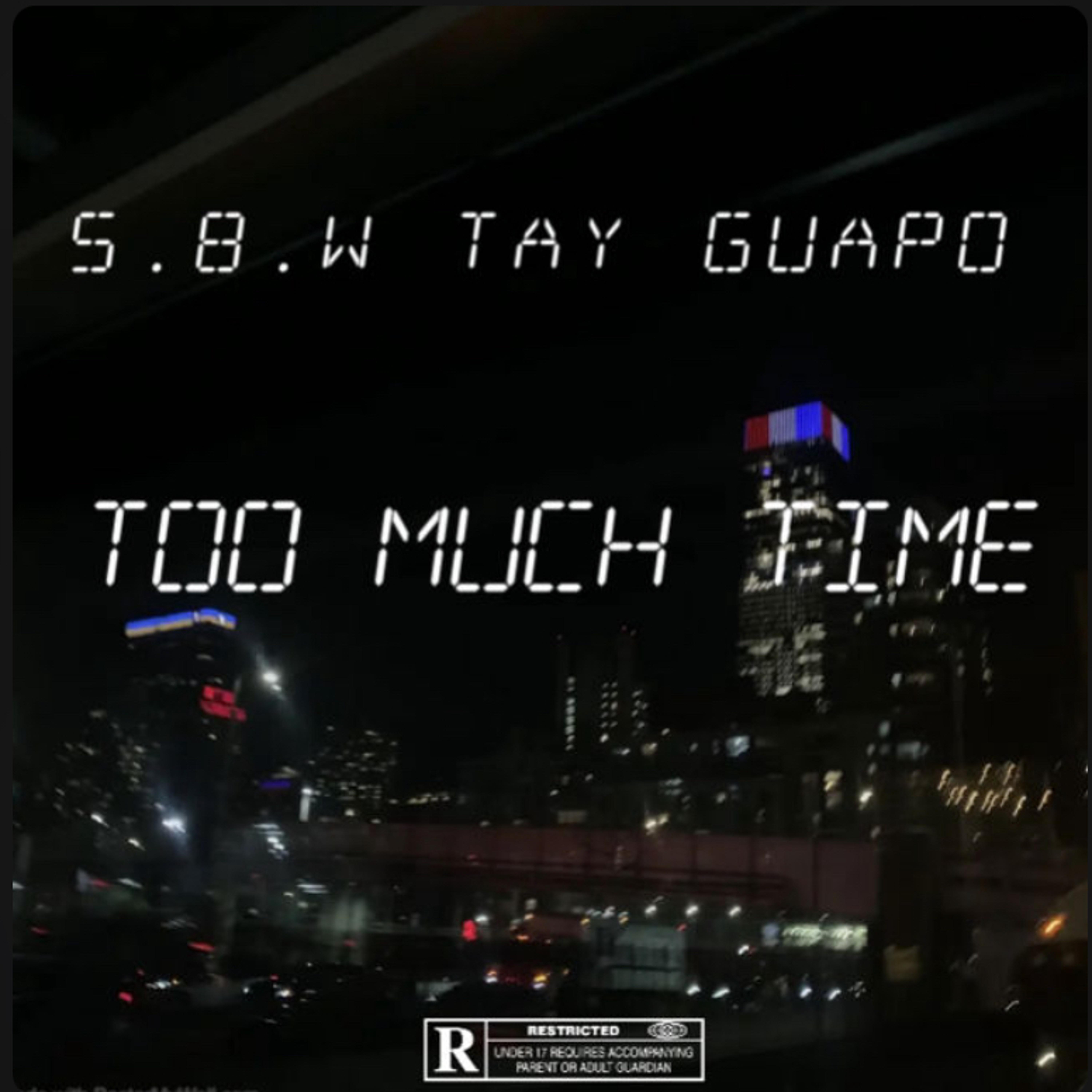 TOO MUCH TIME artwork