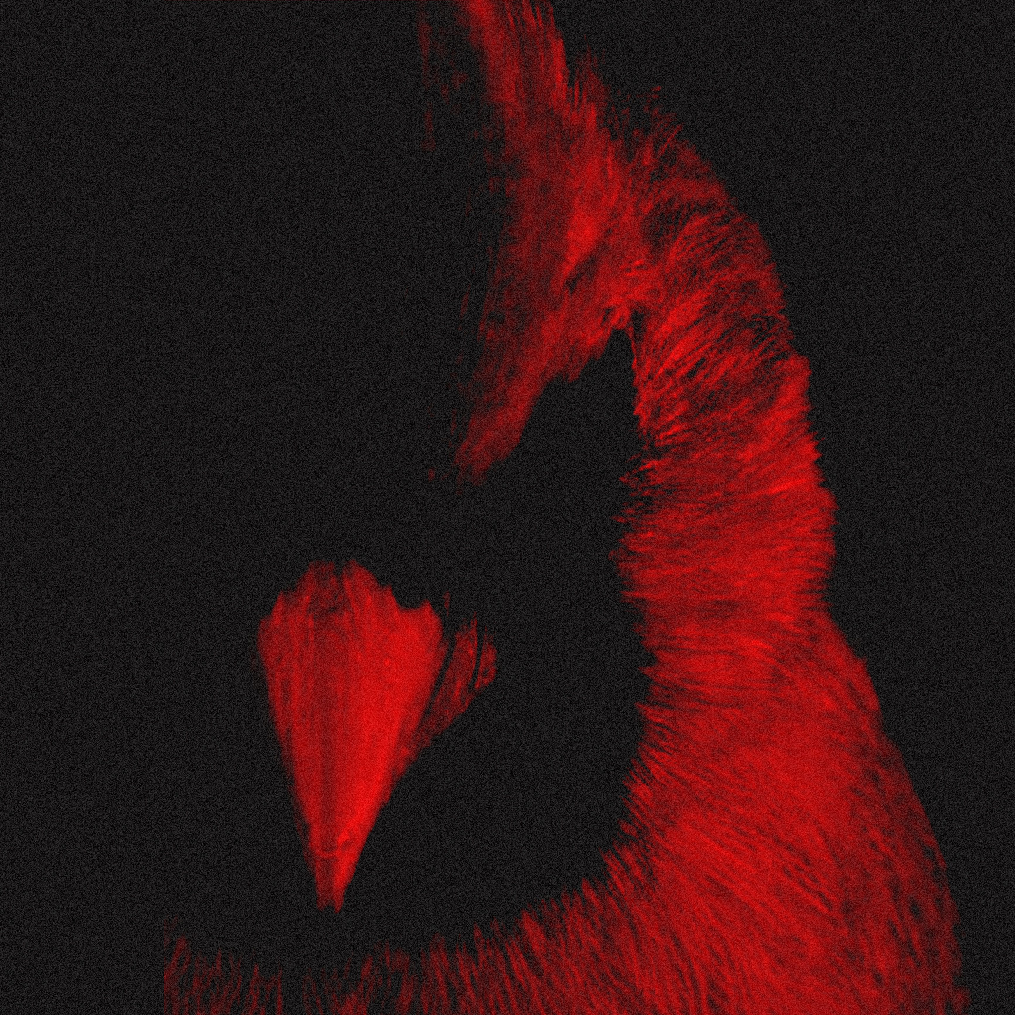 Cardinal State artwork