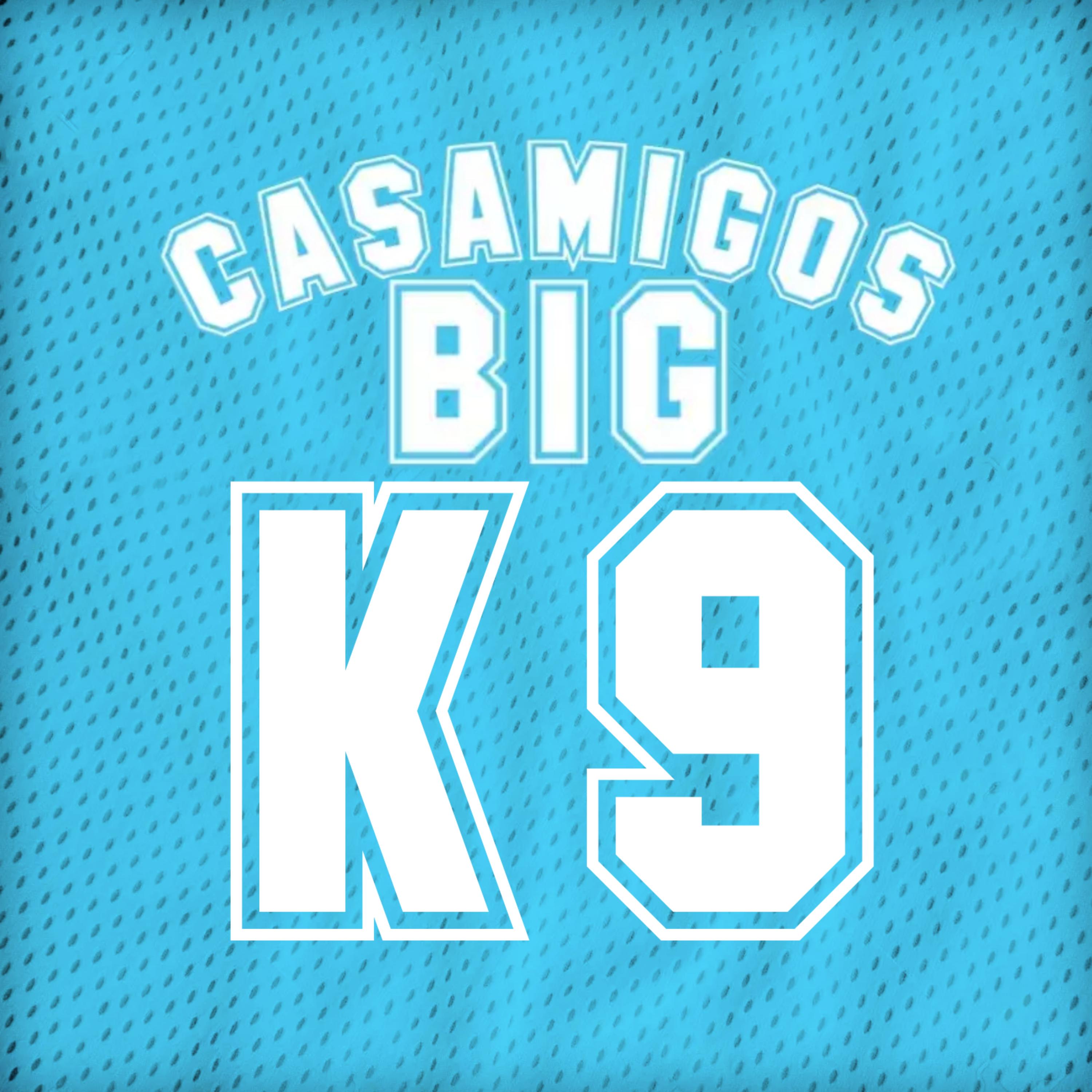 Casamigos artwork