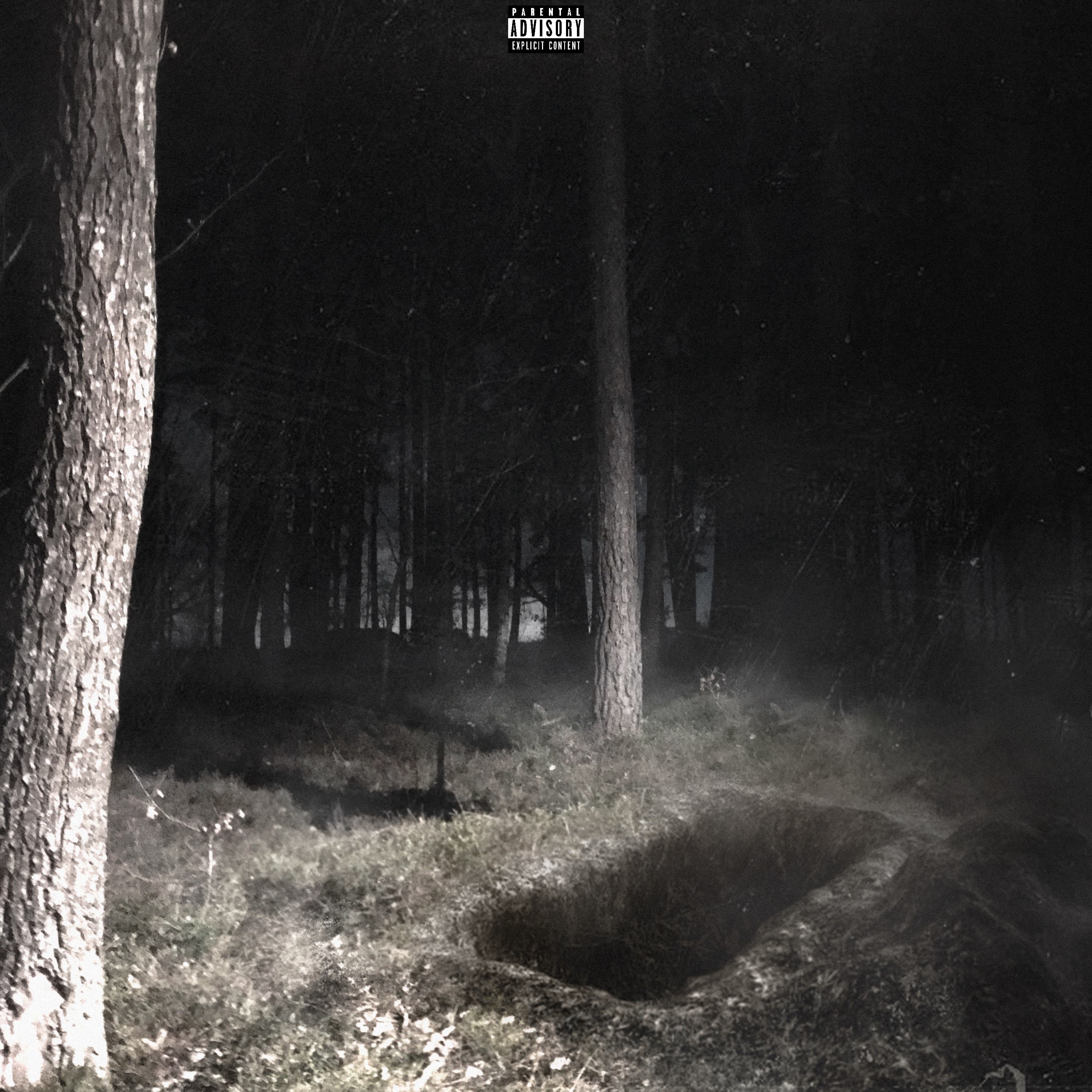 SpitOnMyGrave artwork