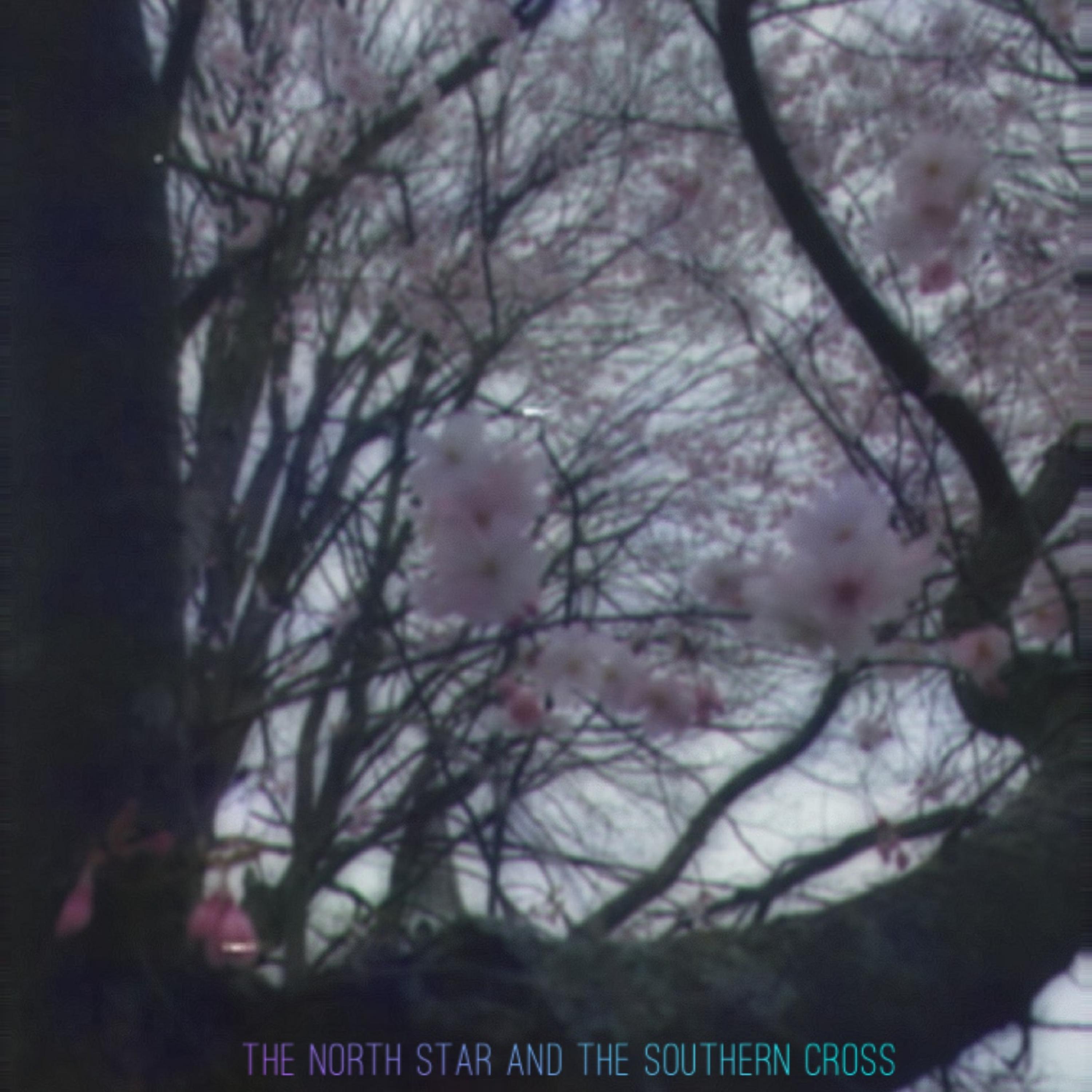 The North Star and The Southern Cross artwork