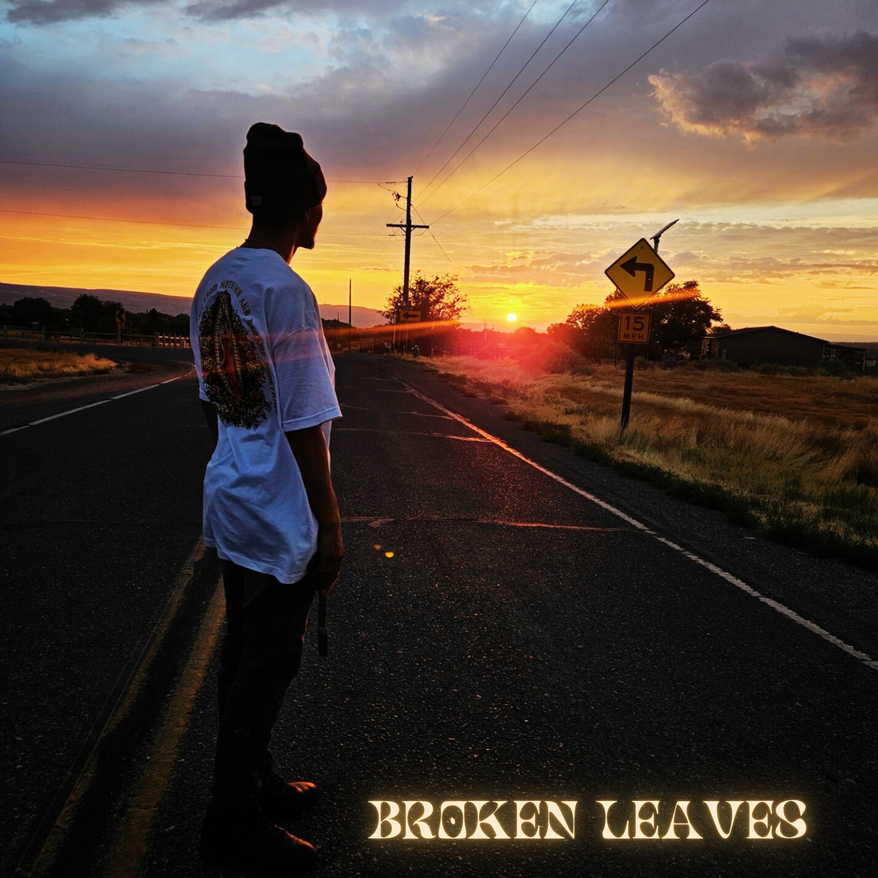 Broken Leaves artwork