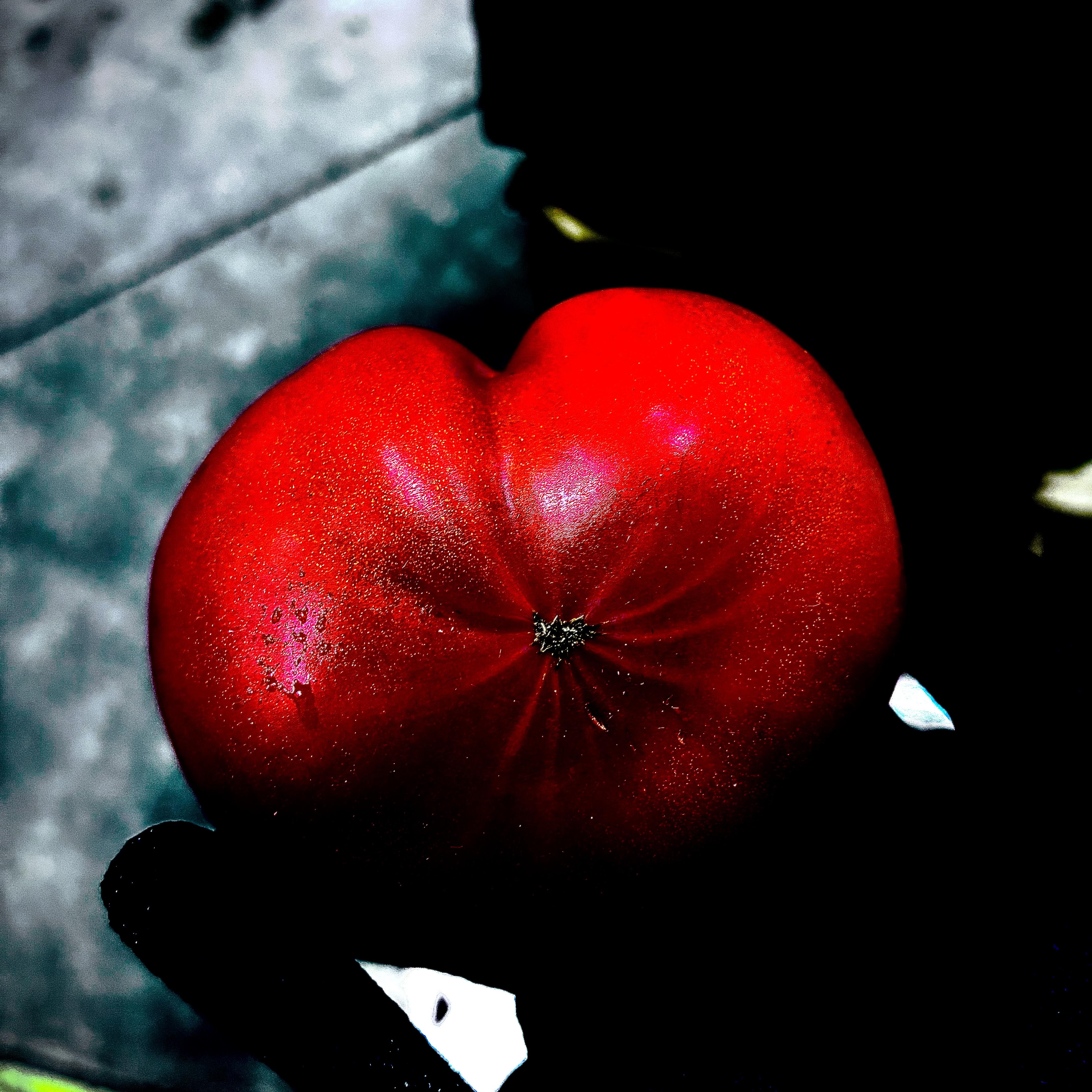 Scars Forever Ray artwork