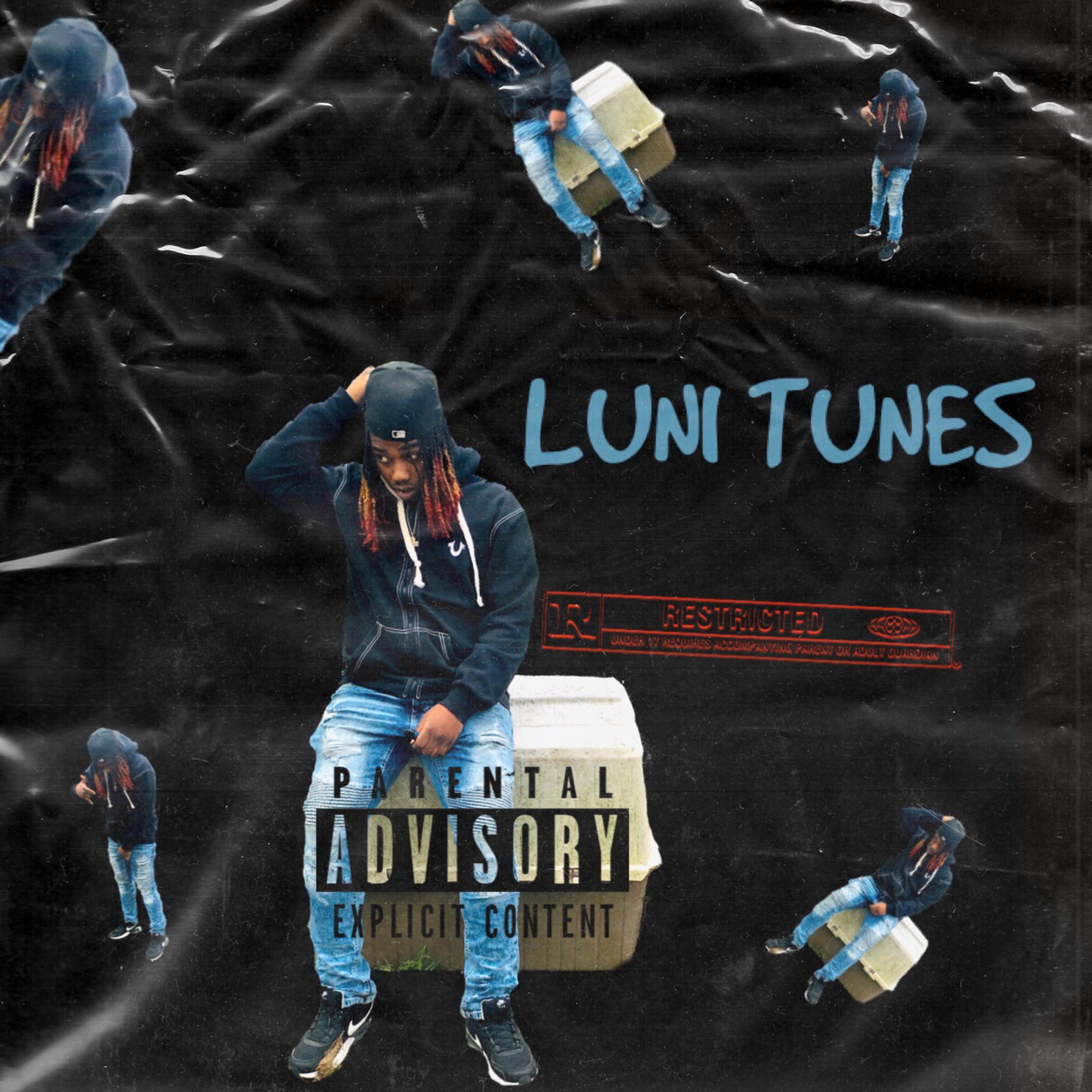 Luni Tunes artwork