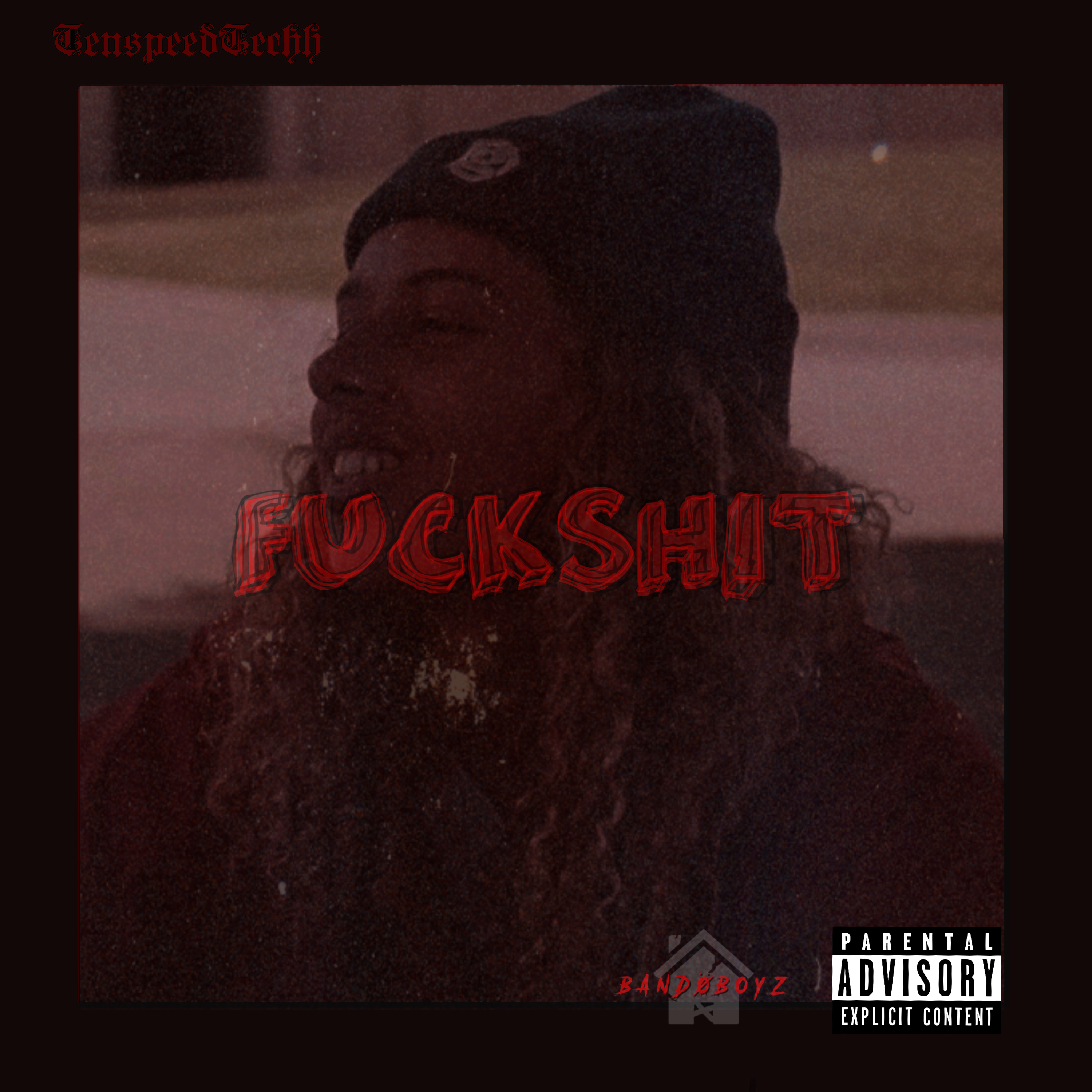 FUCKSHIT artwork
