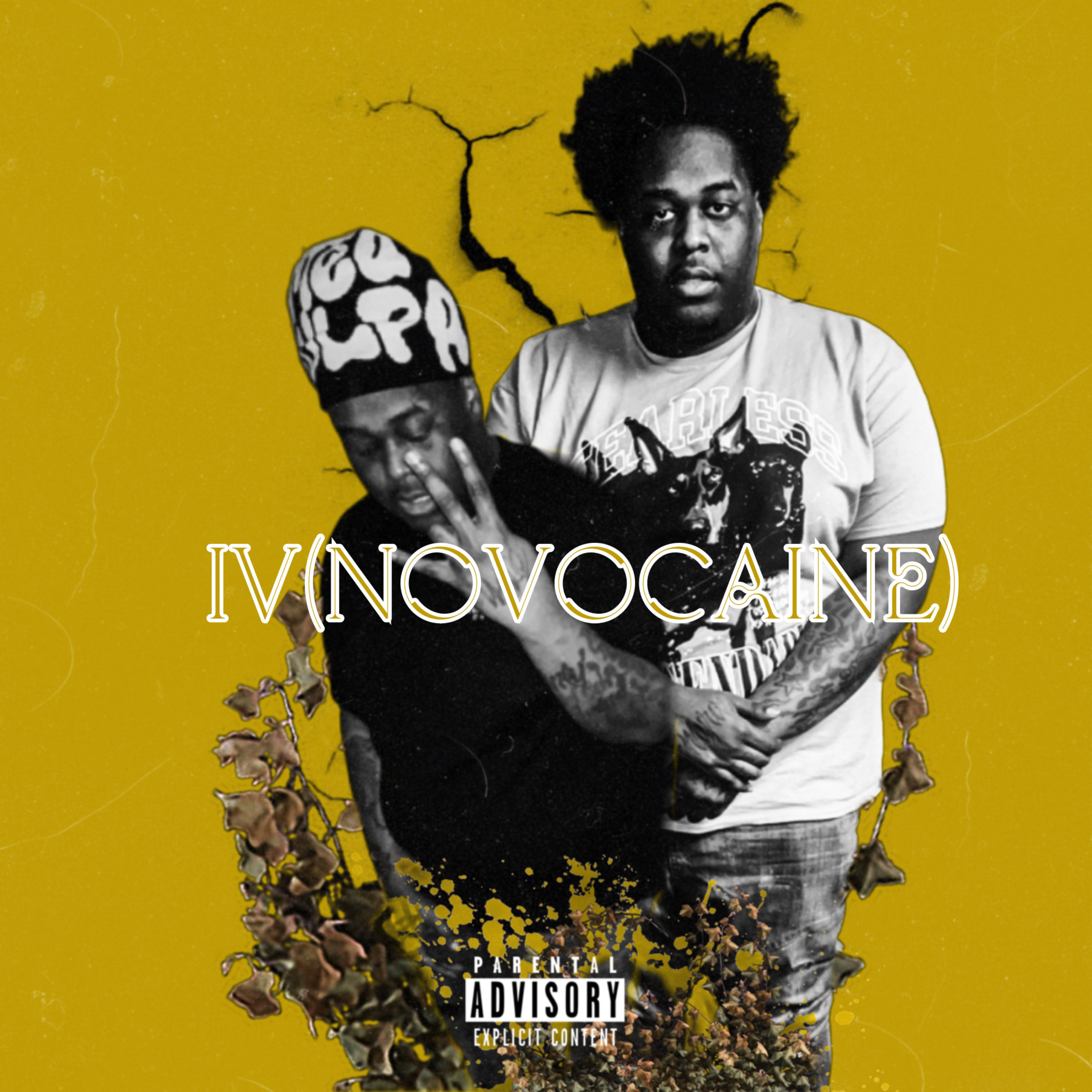 iV(Novocaine) artwork