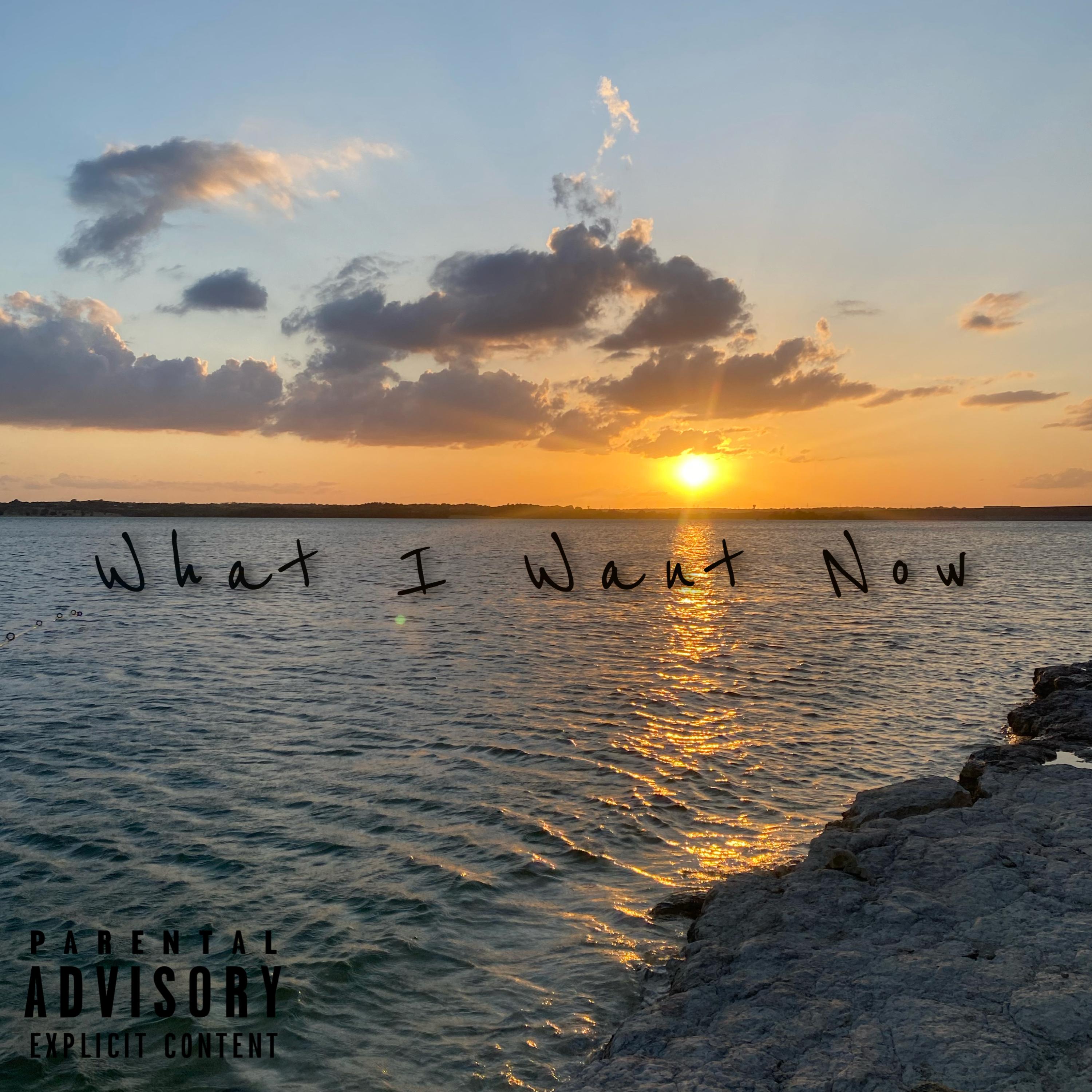 What I Want Now artwork