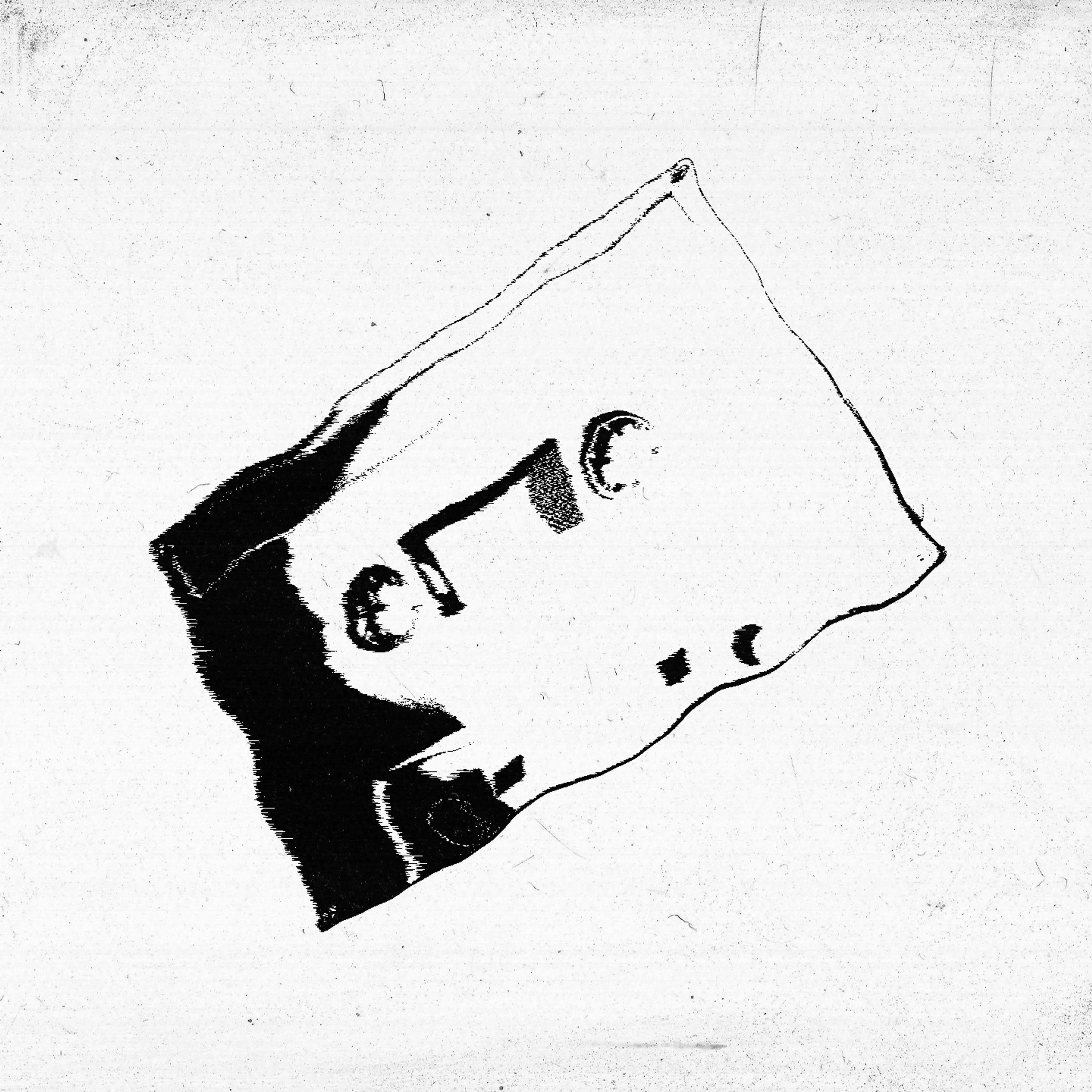 Distorto artwork
