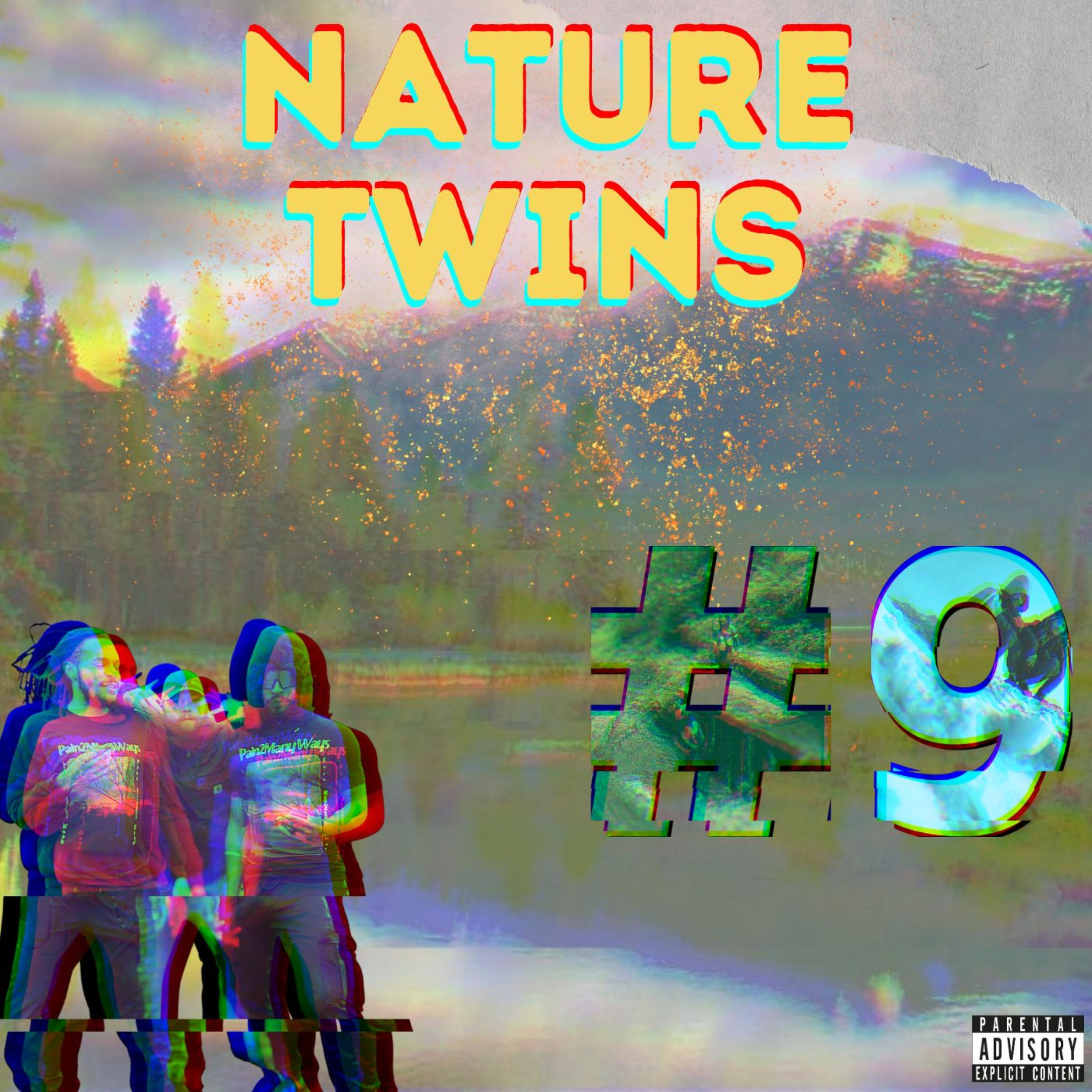 NATURE TWINS artwork