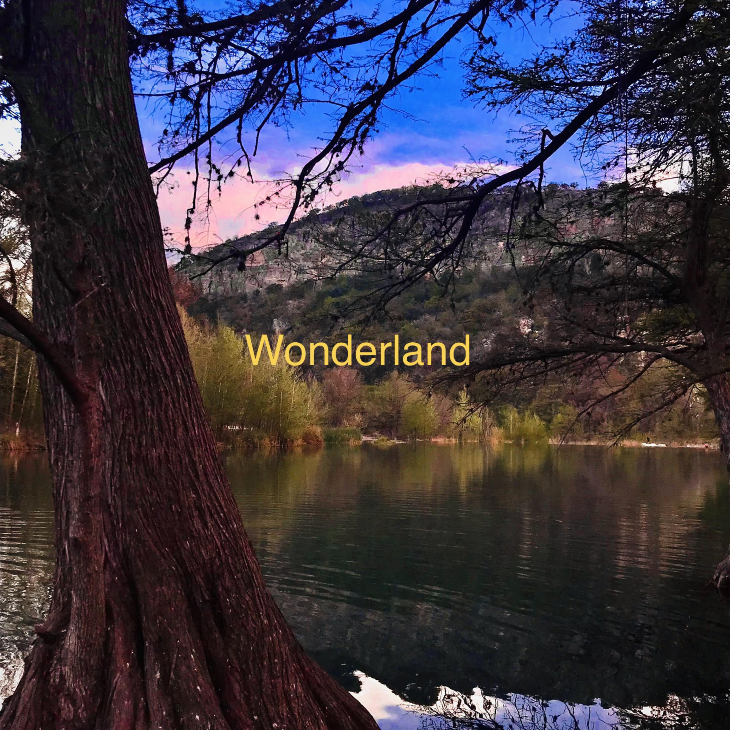 Wonderland artwork