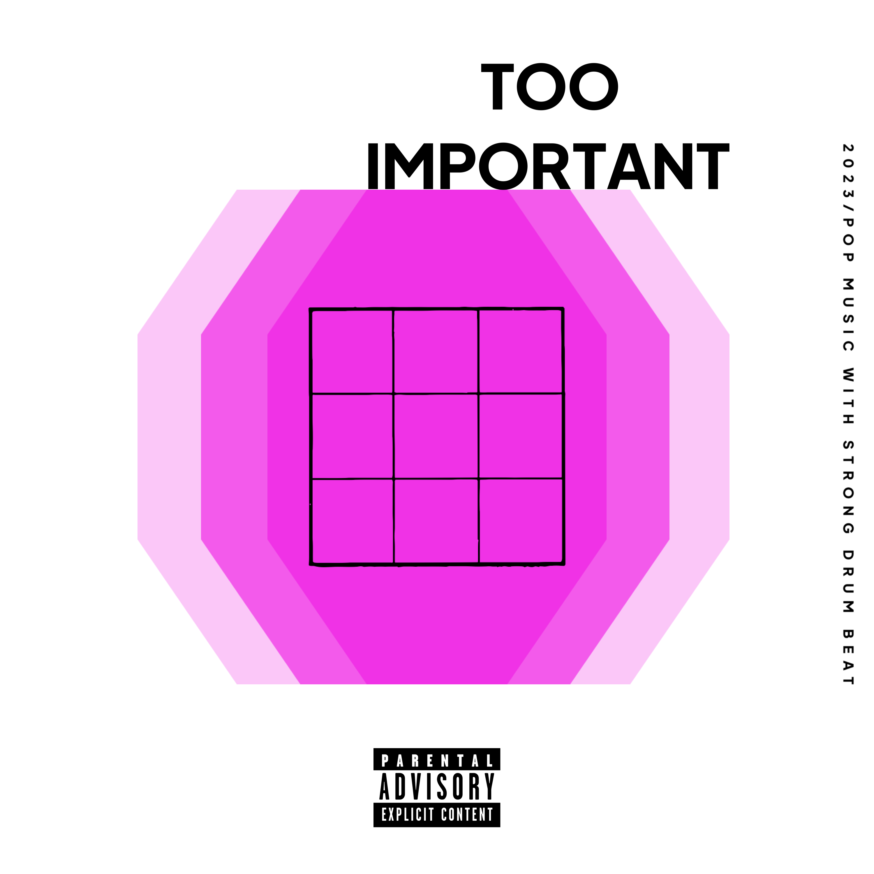 TOO IMPORTANT artwork