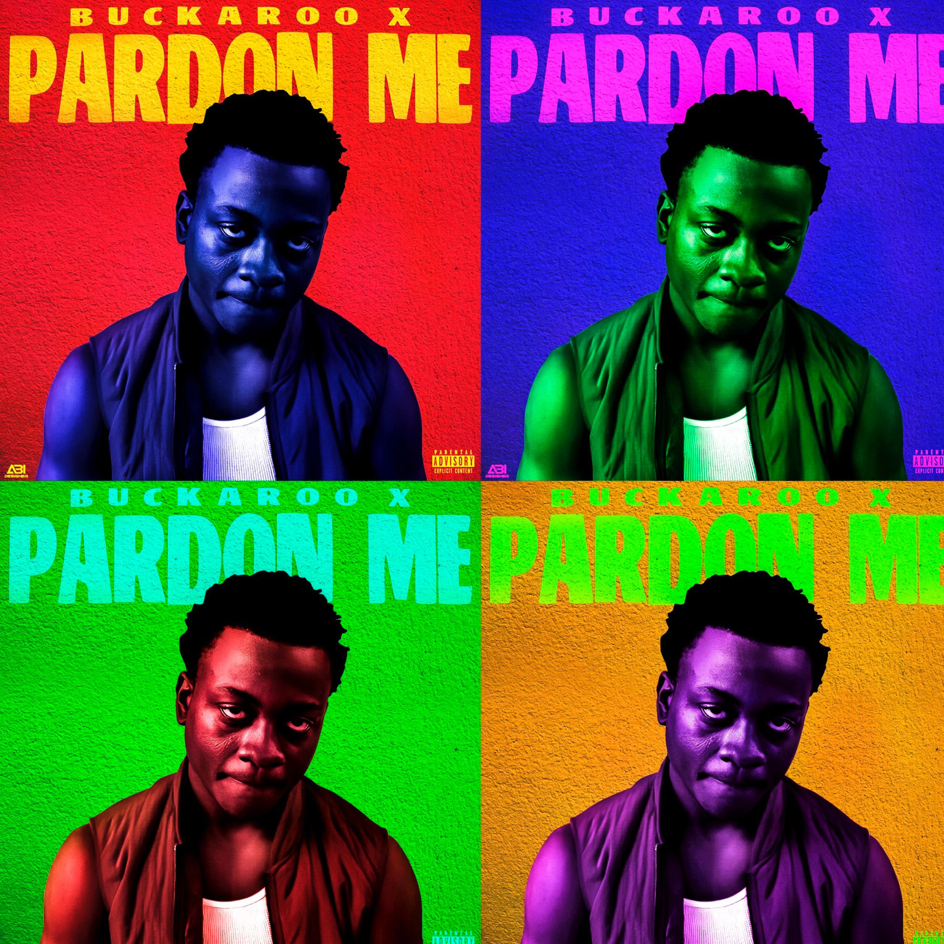 Pardon Me artwork