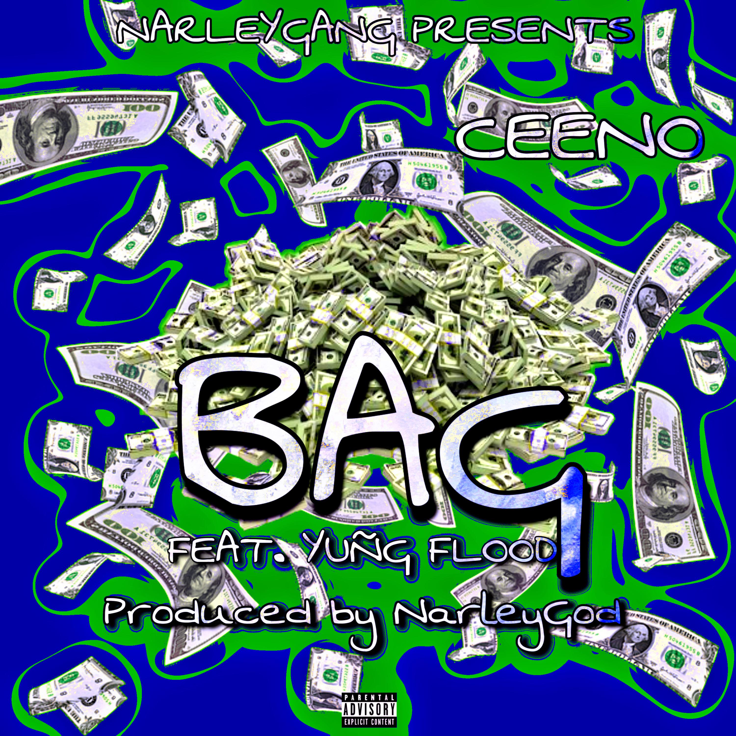 Bag artwork