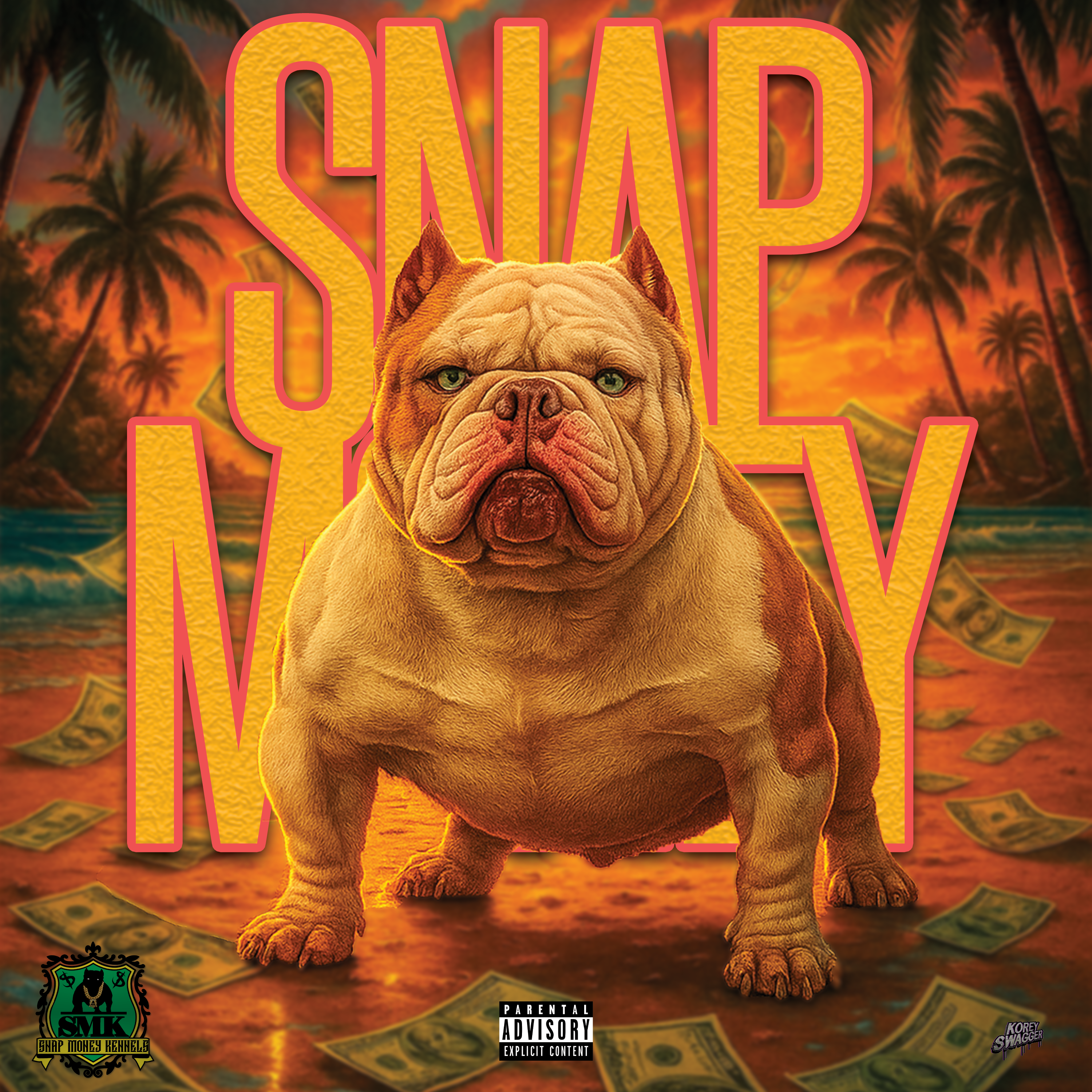 SNAP MONEY artwork