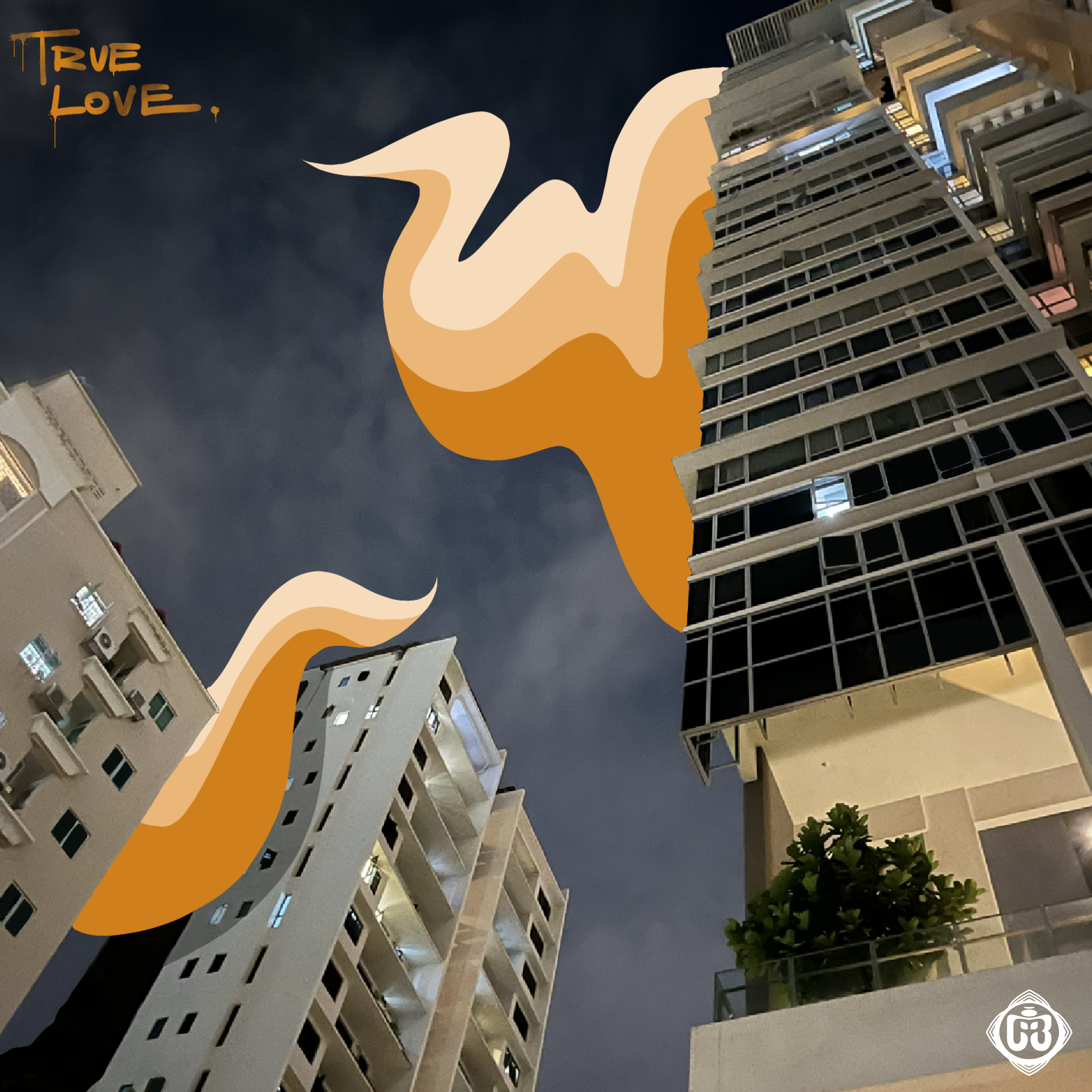 True Love artwork