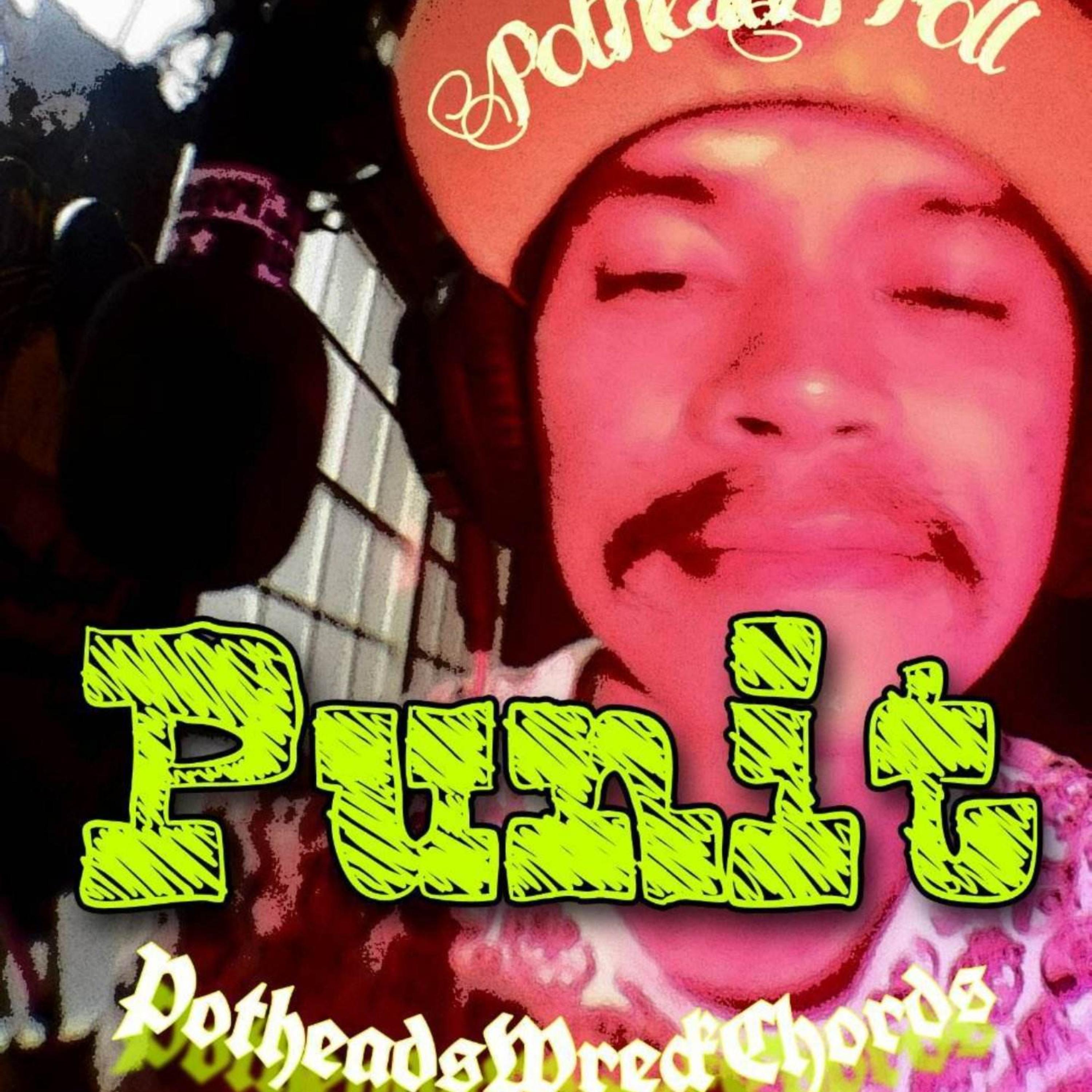 PUNIT artwork