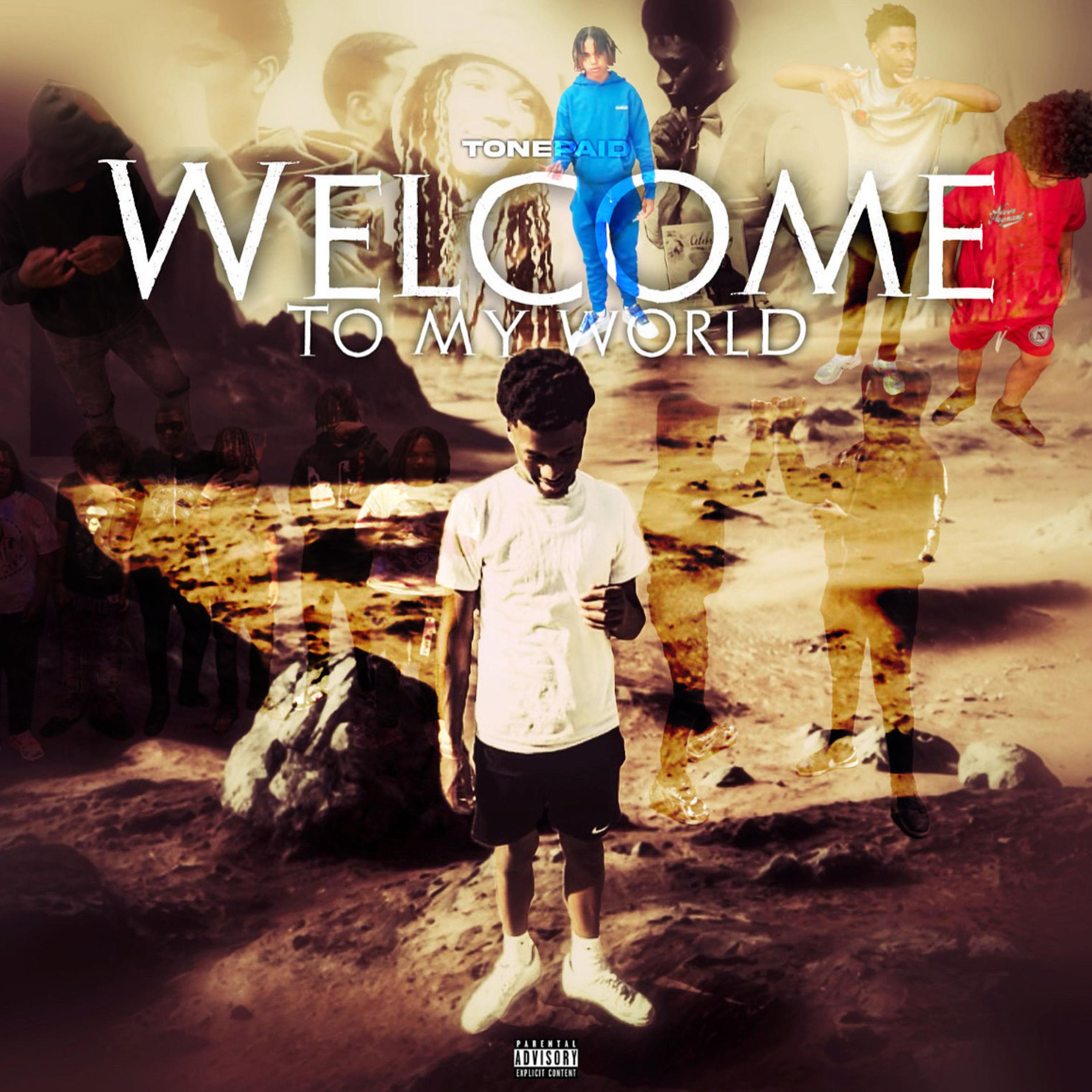 Welcome To My World artwork