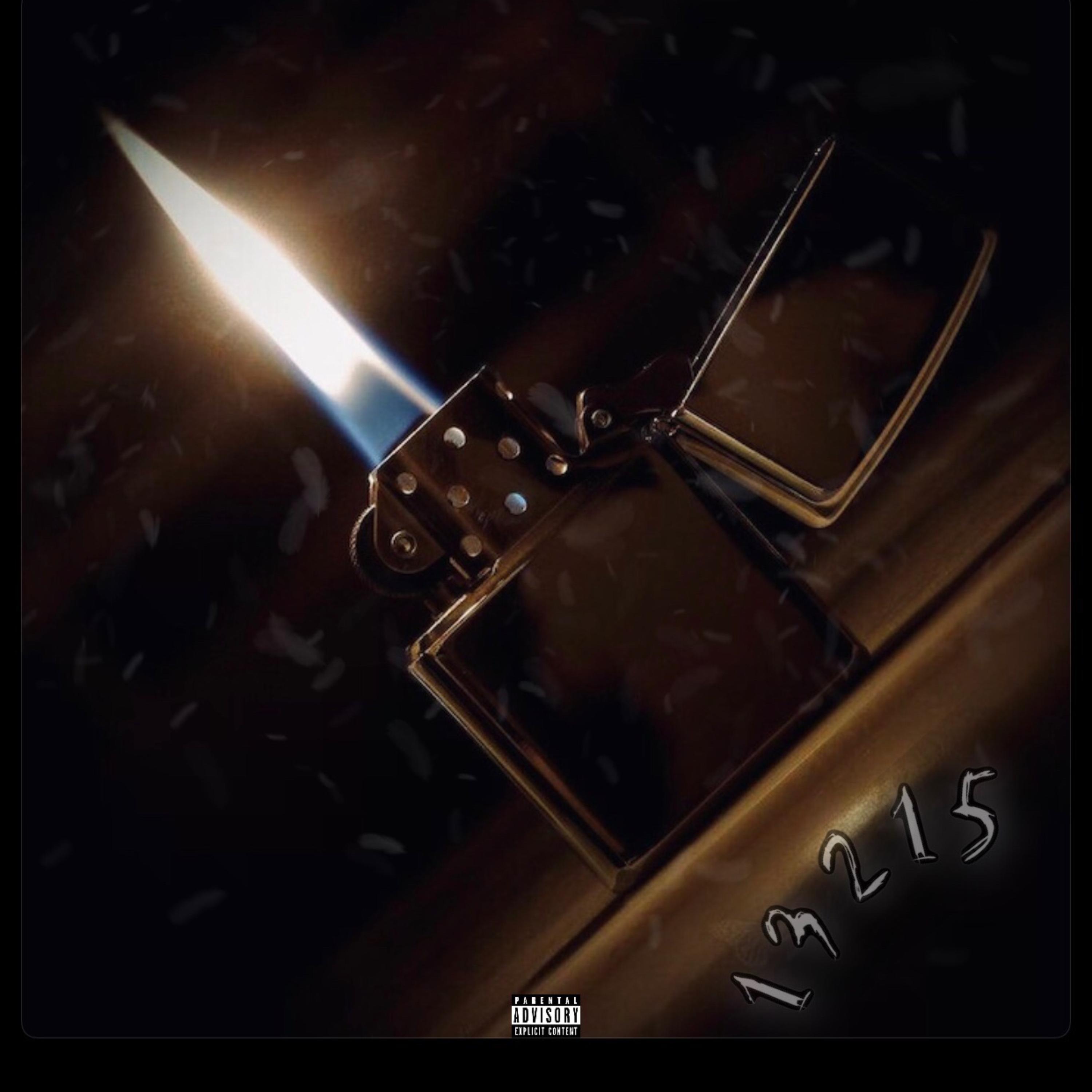 13215 artwork