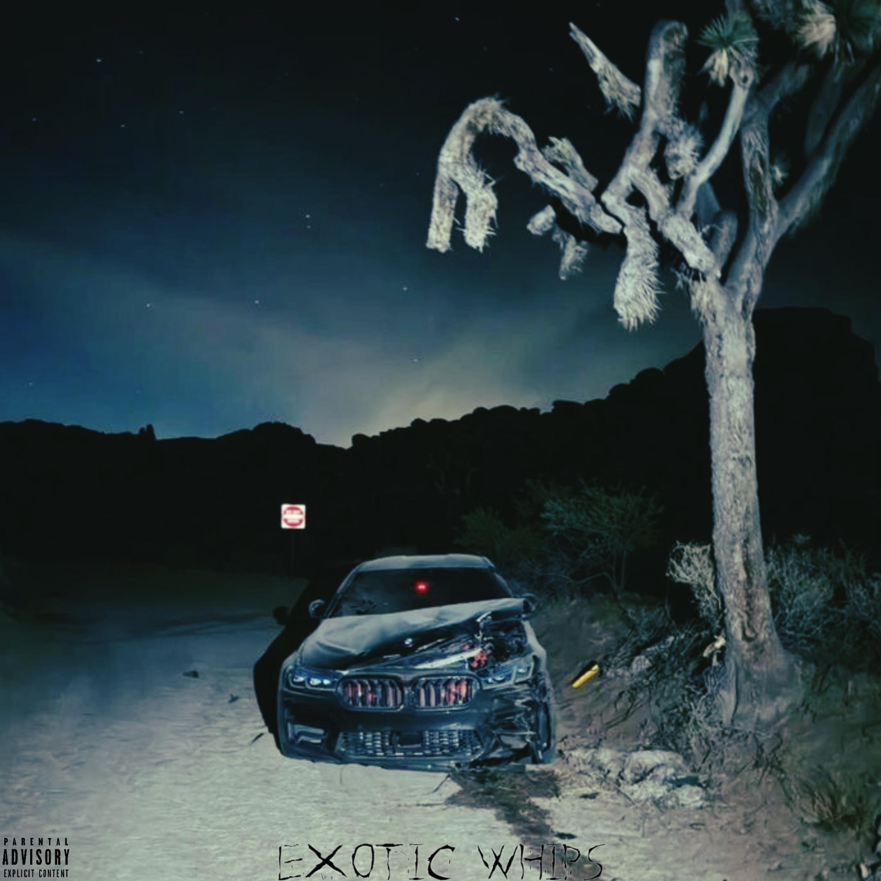 exotic whips artwork