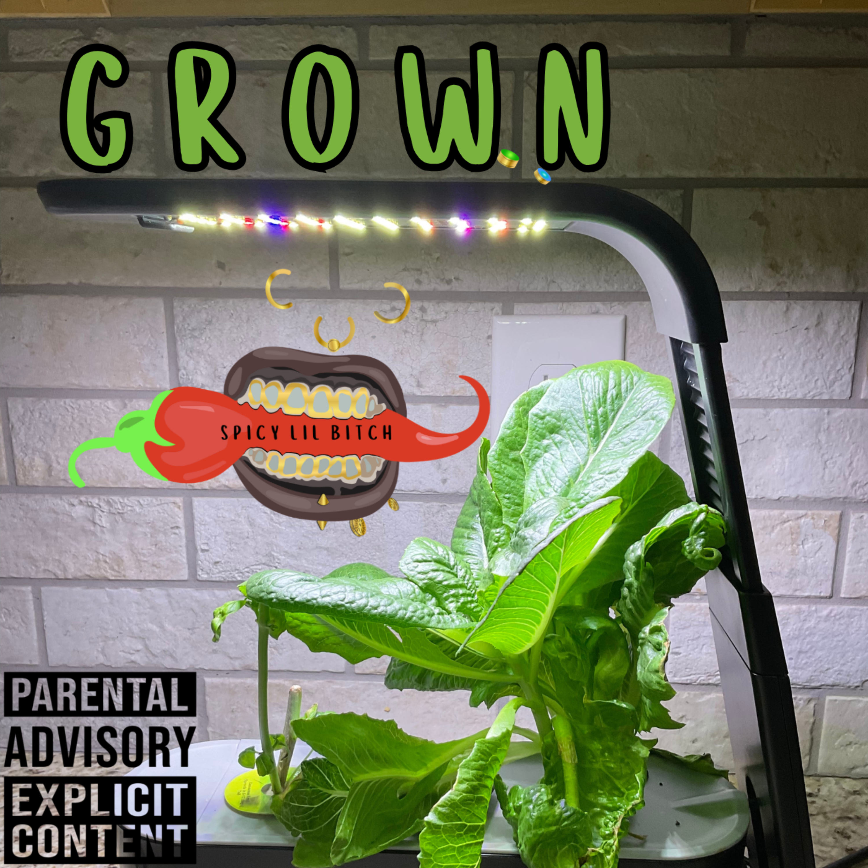 Grown by spicy lil bitch cover art