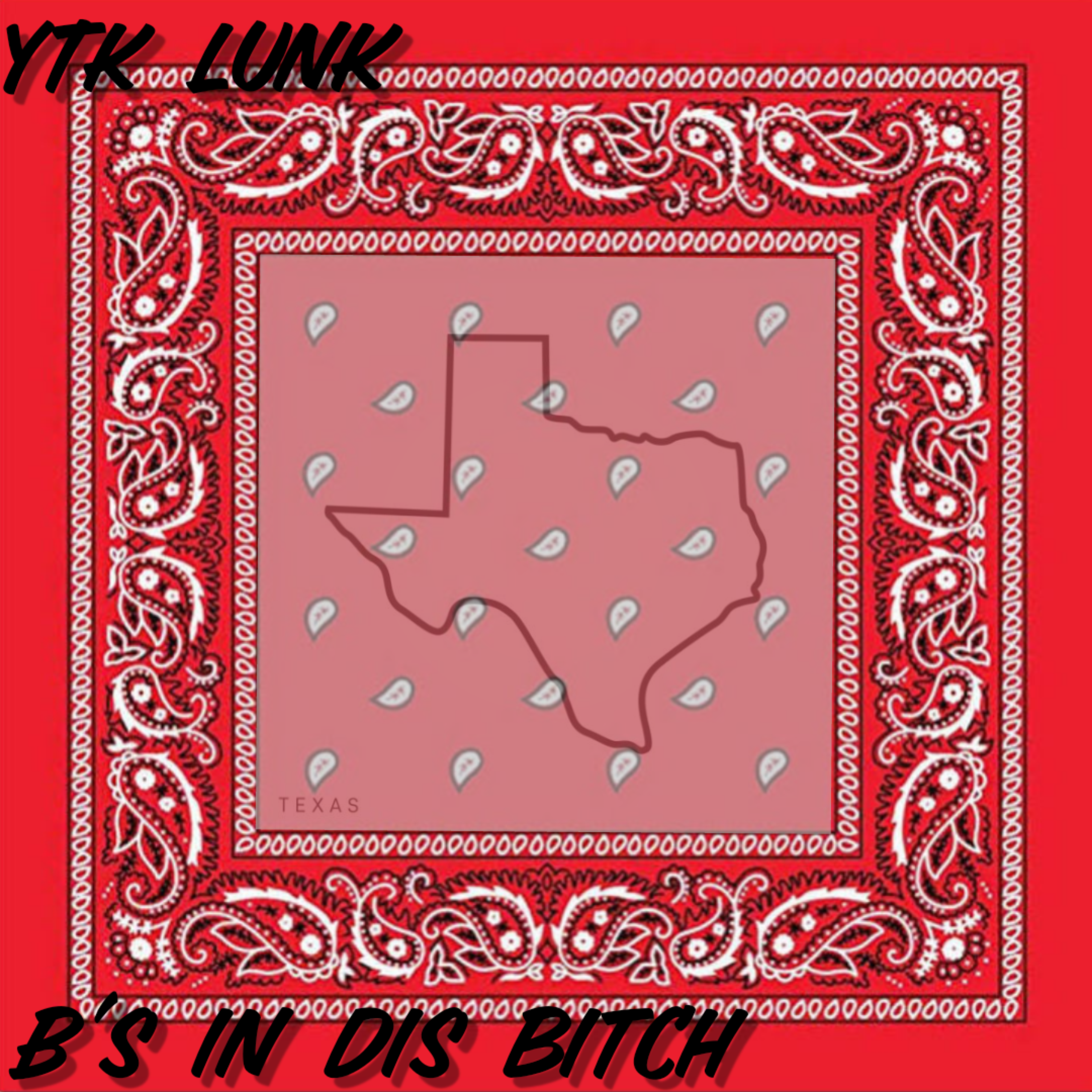 B's In Dis Bitch artwork