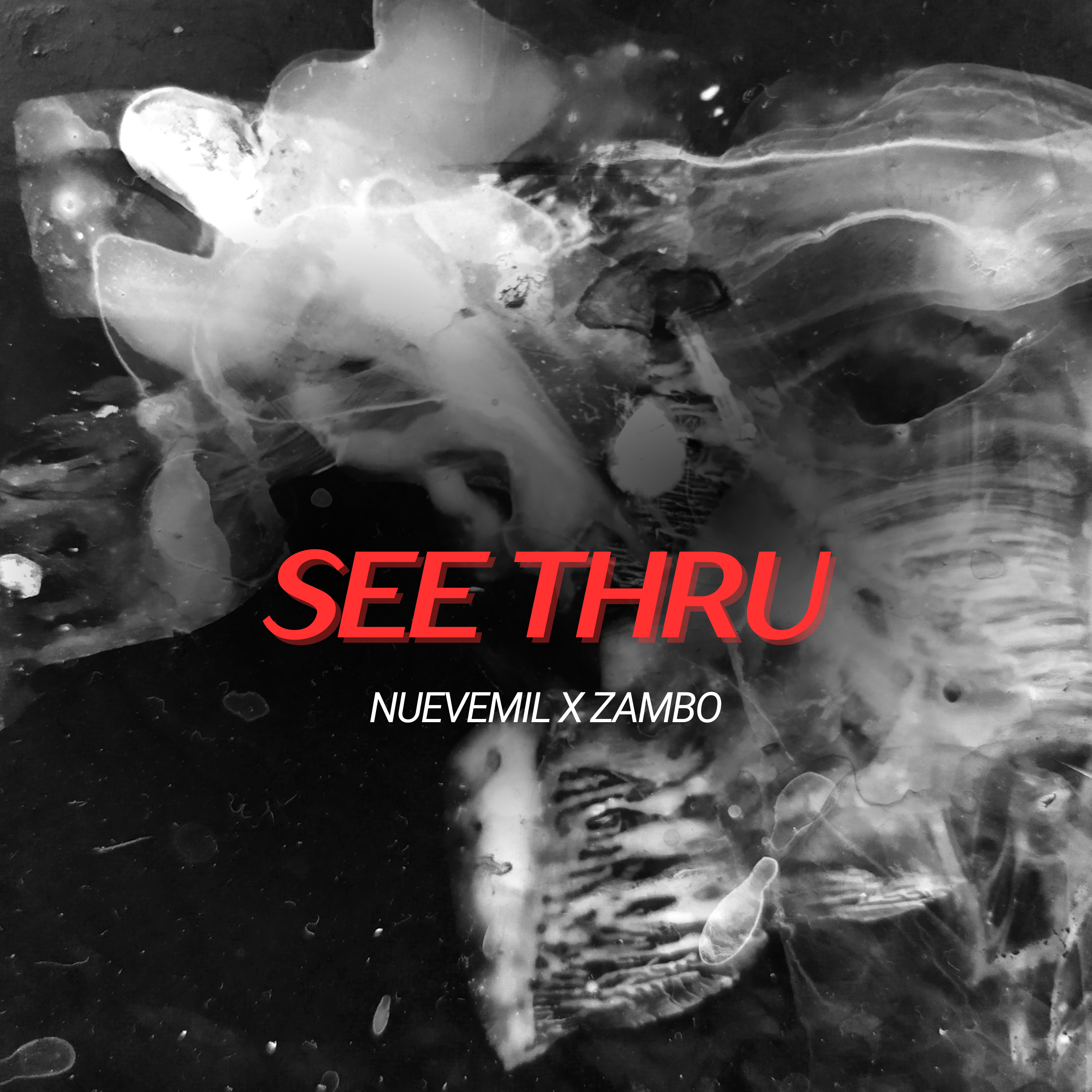 See Thru artwork