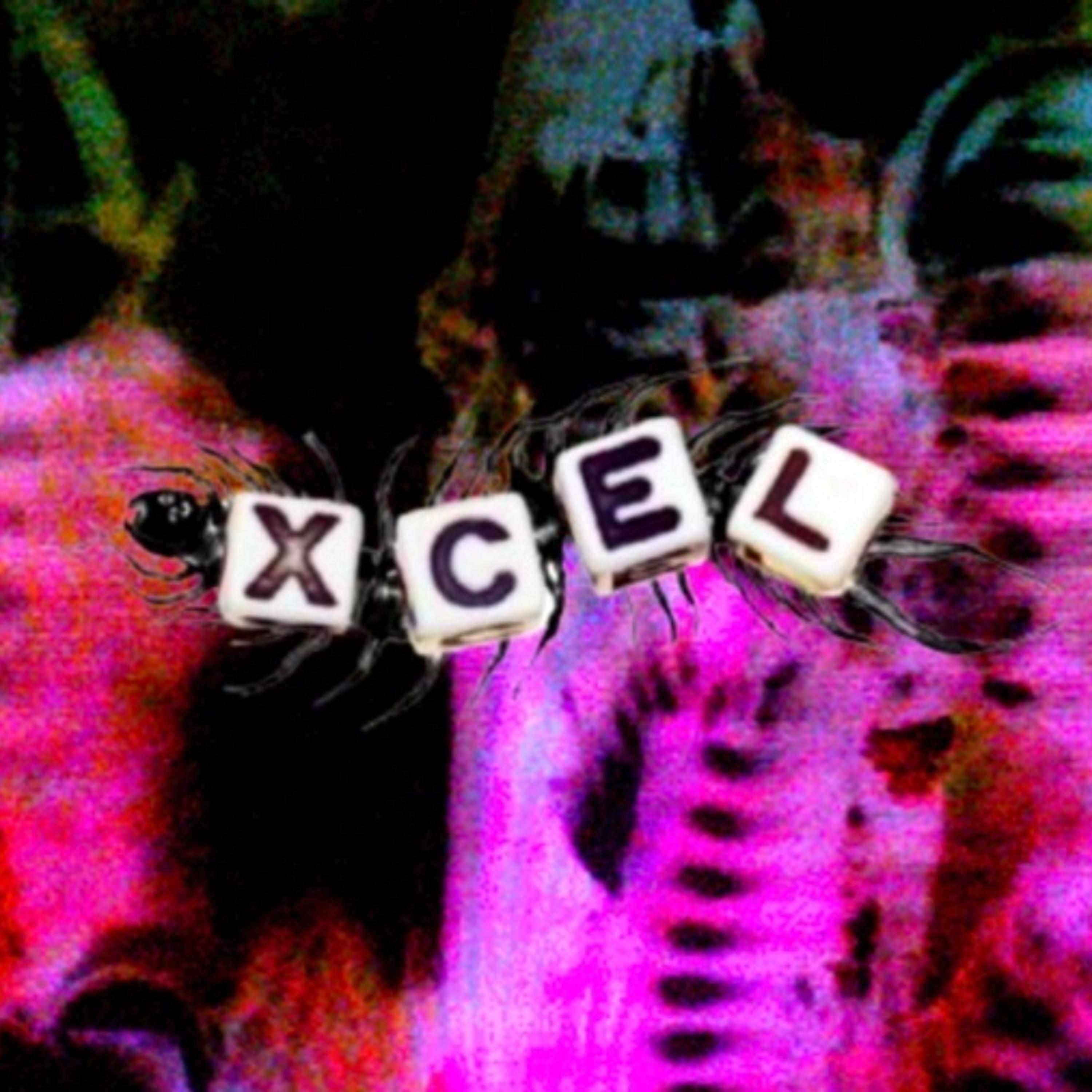 XCEL artwork
