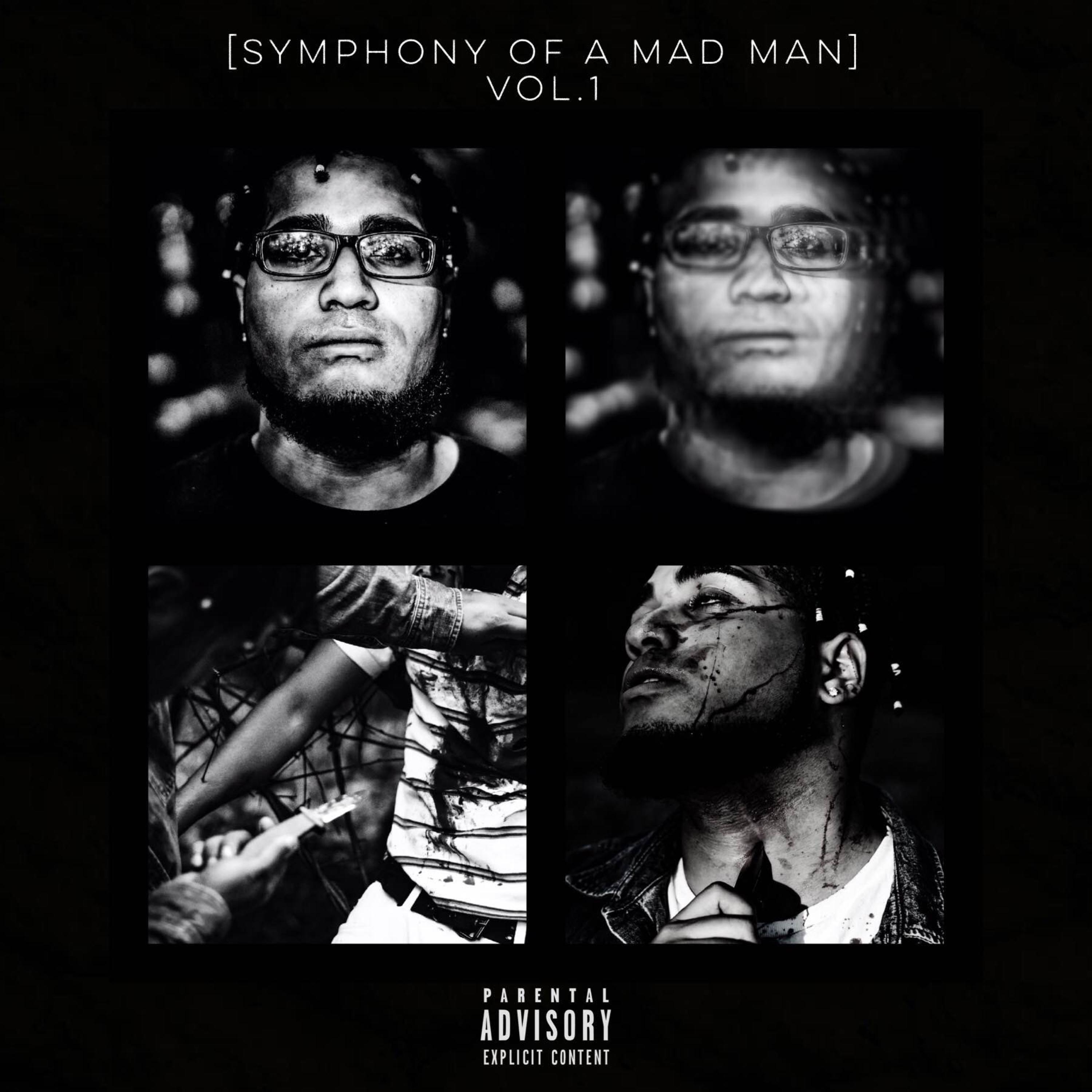 SYMPHONY OF A MADMAN VOL.1 artwork