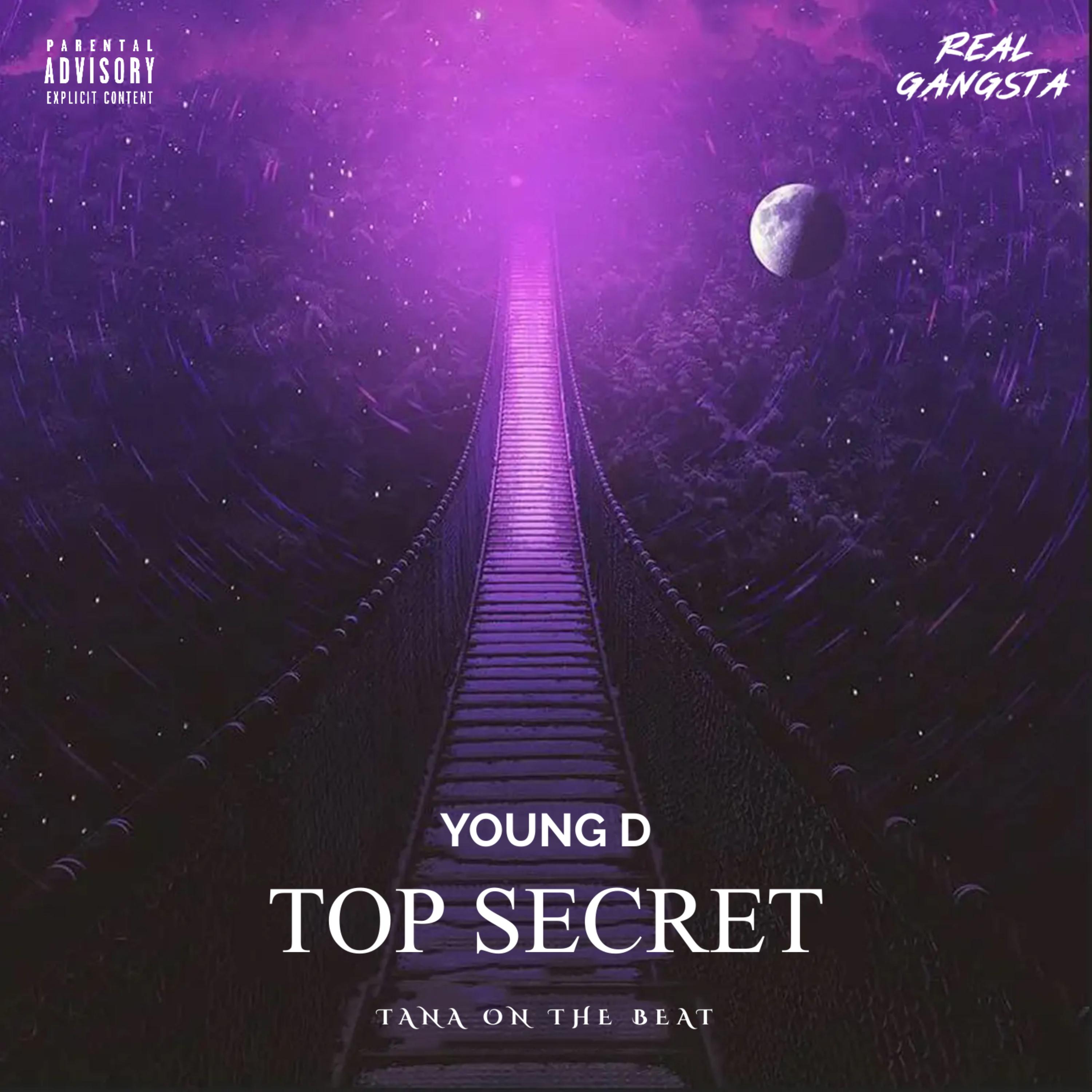 Top Secret artwork