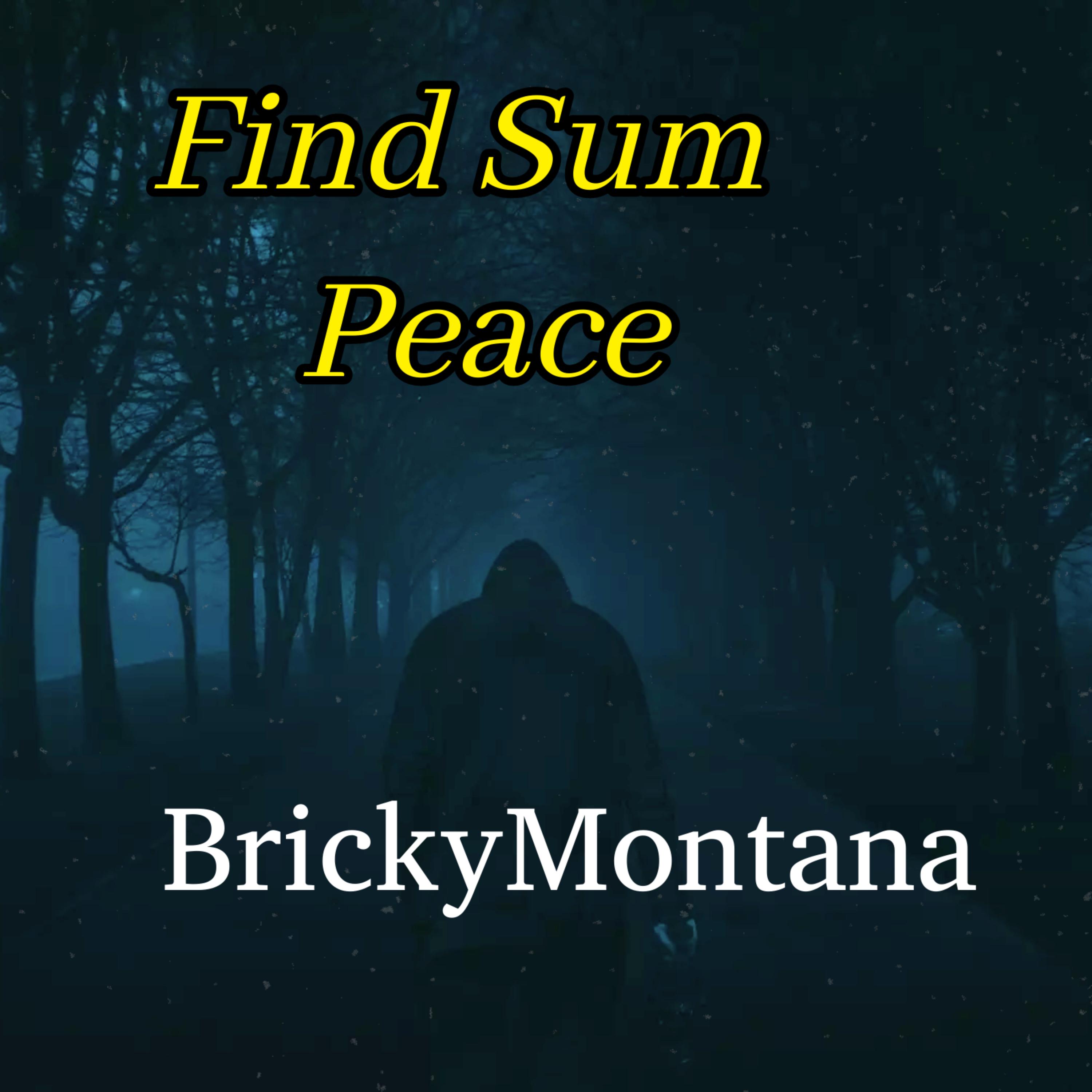 Find Sum Peace artwork