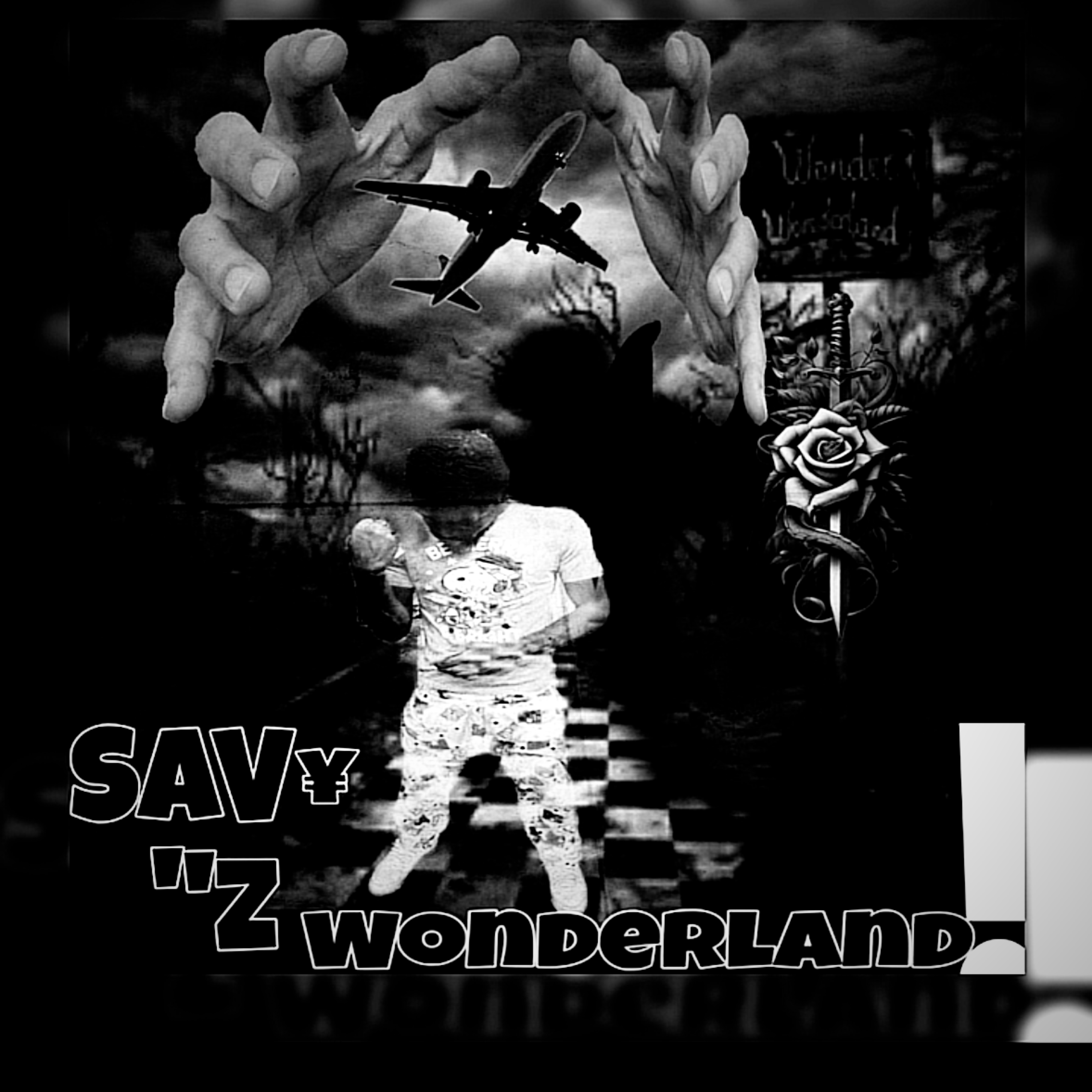 SAV¥”Z WONDERLAND artwork
