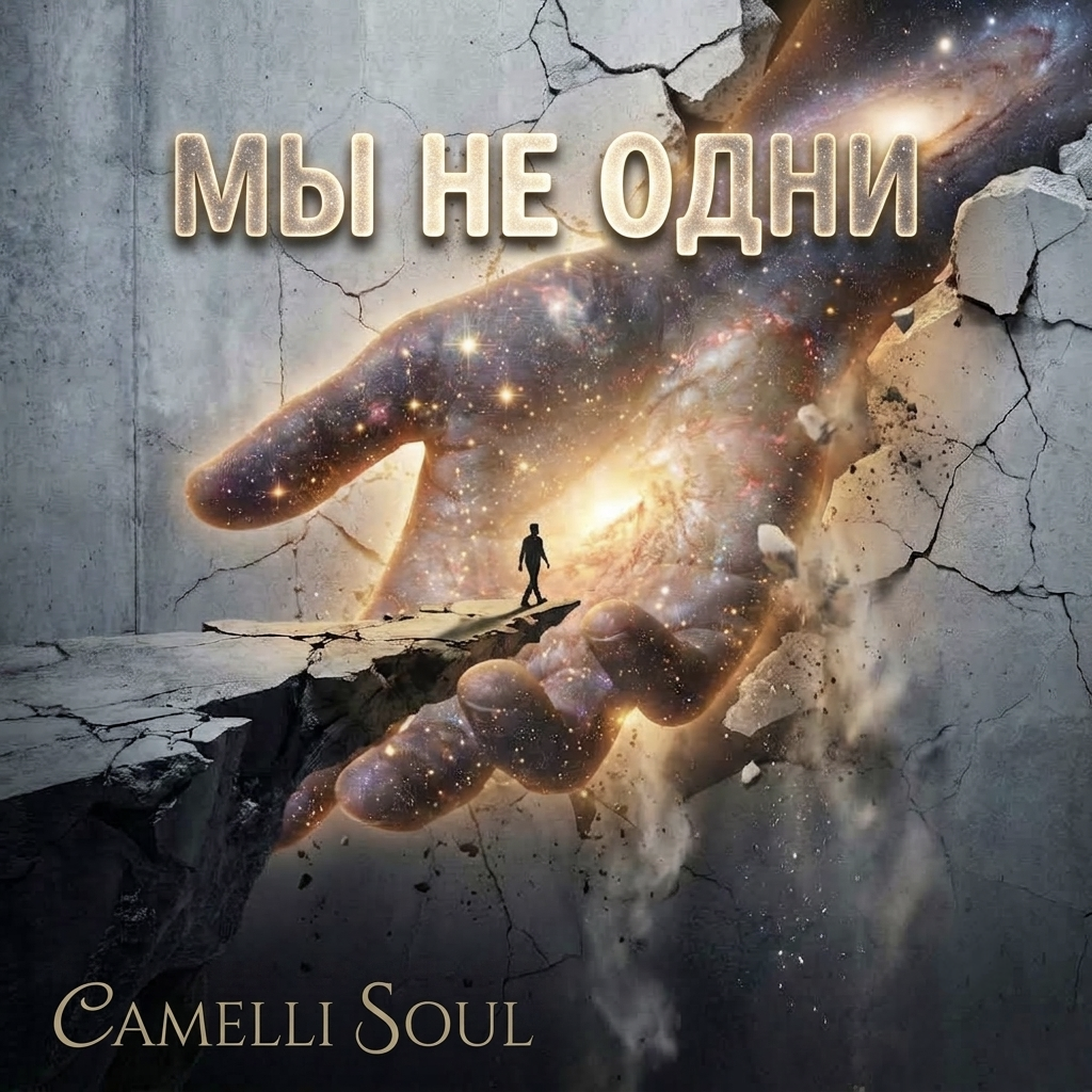 Мы не одни by Camelli Soul cover art