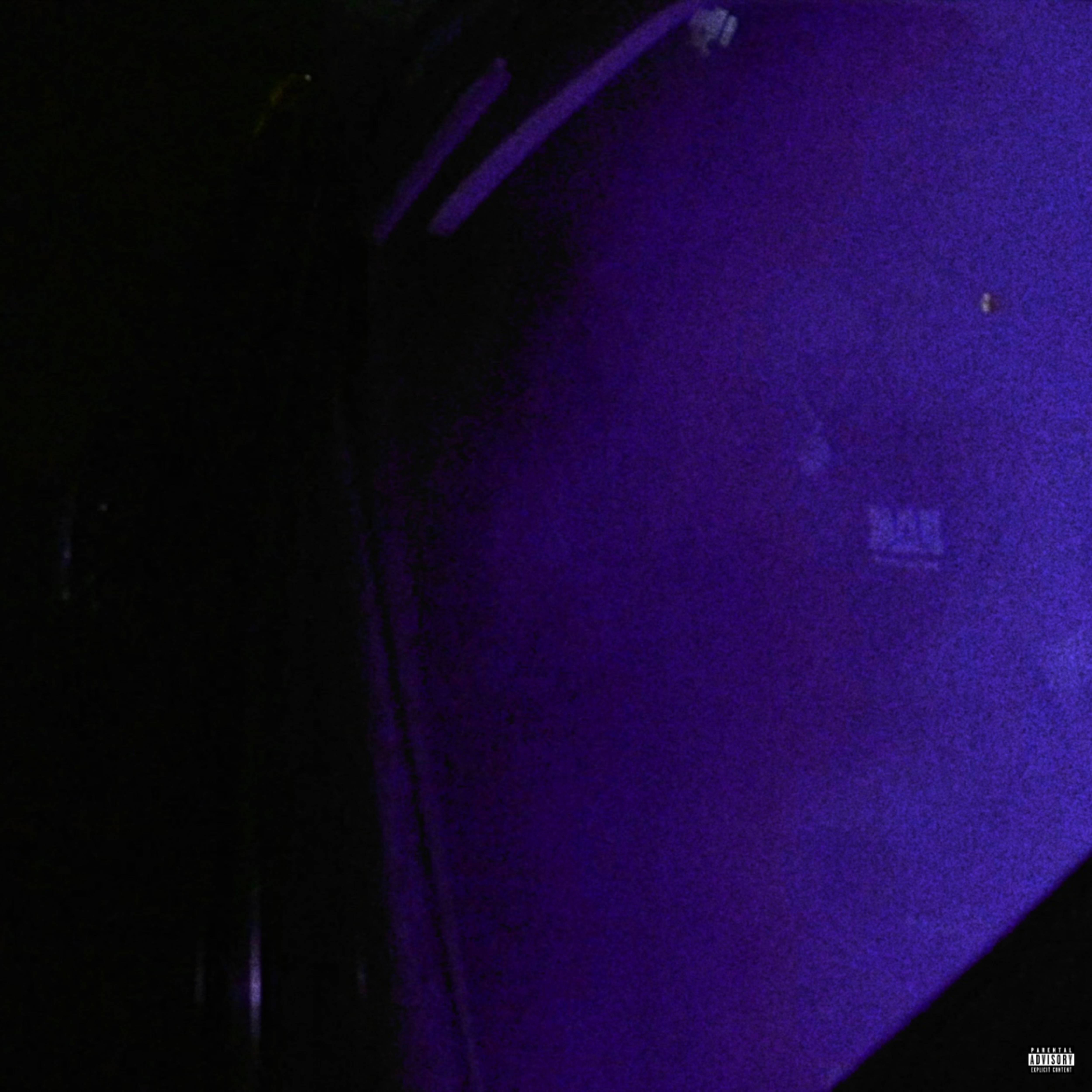 purple NIGHTS artwork